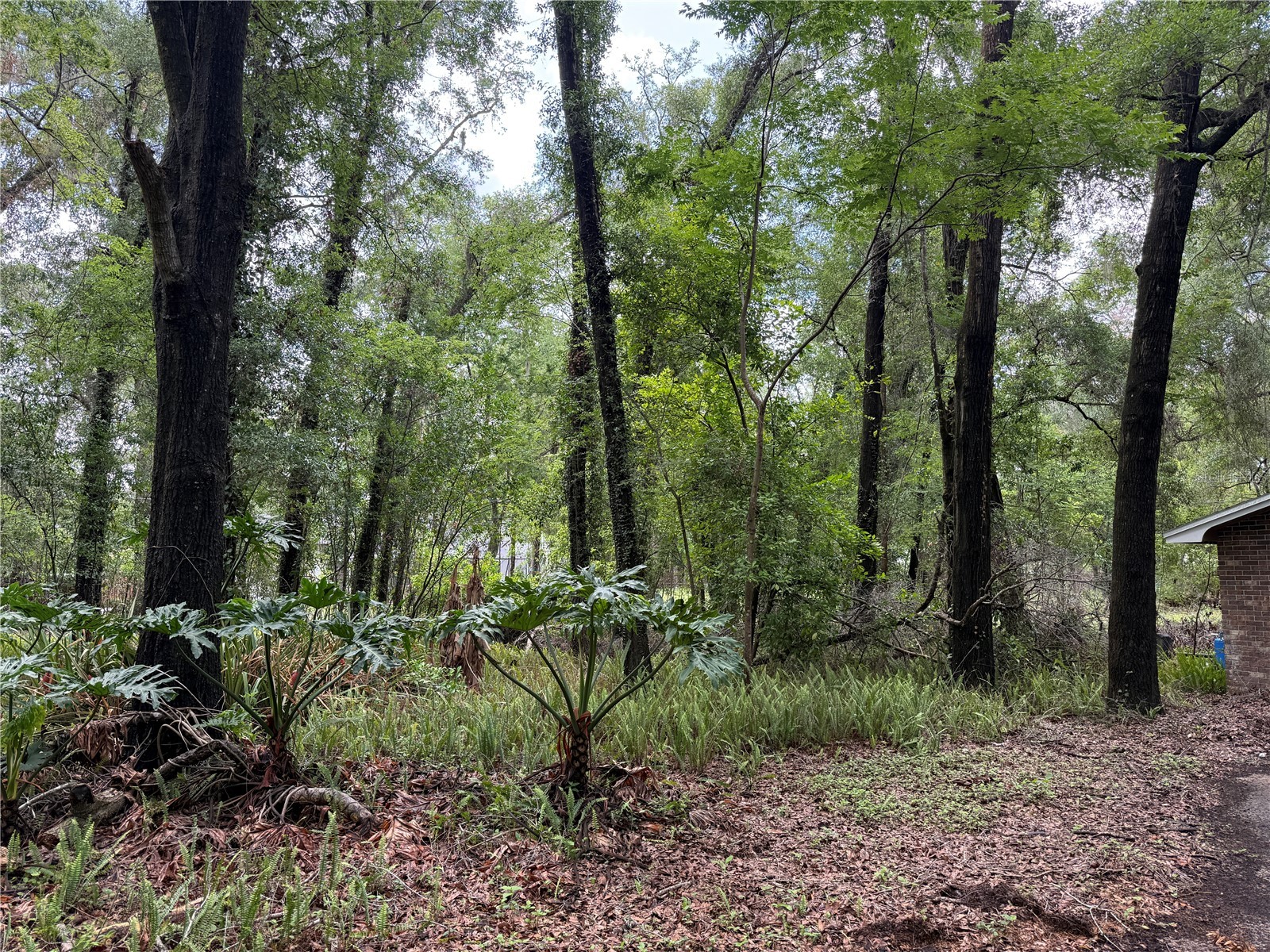 221 SW 138th Terrace Newberry FL 32669 GC540613 image11