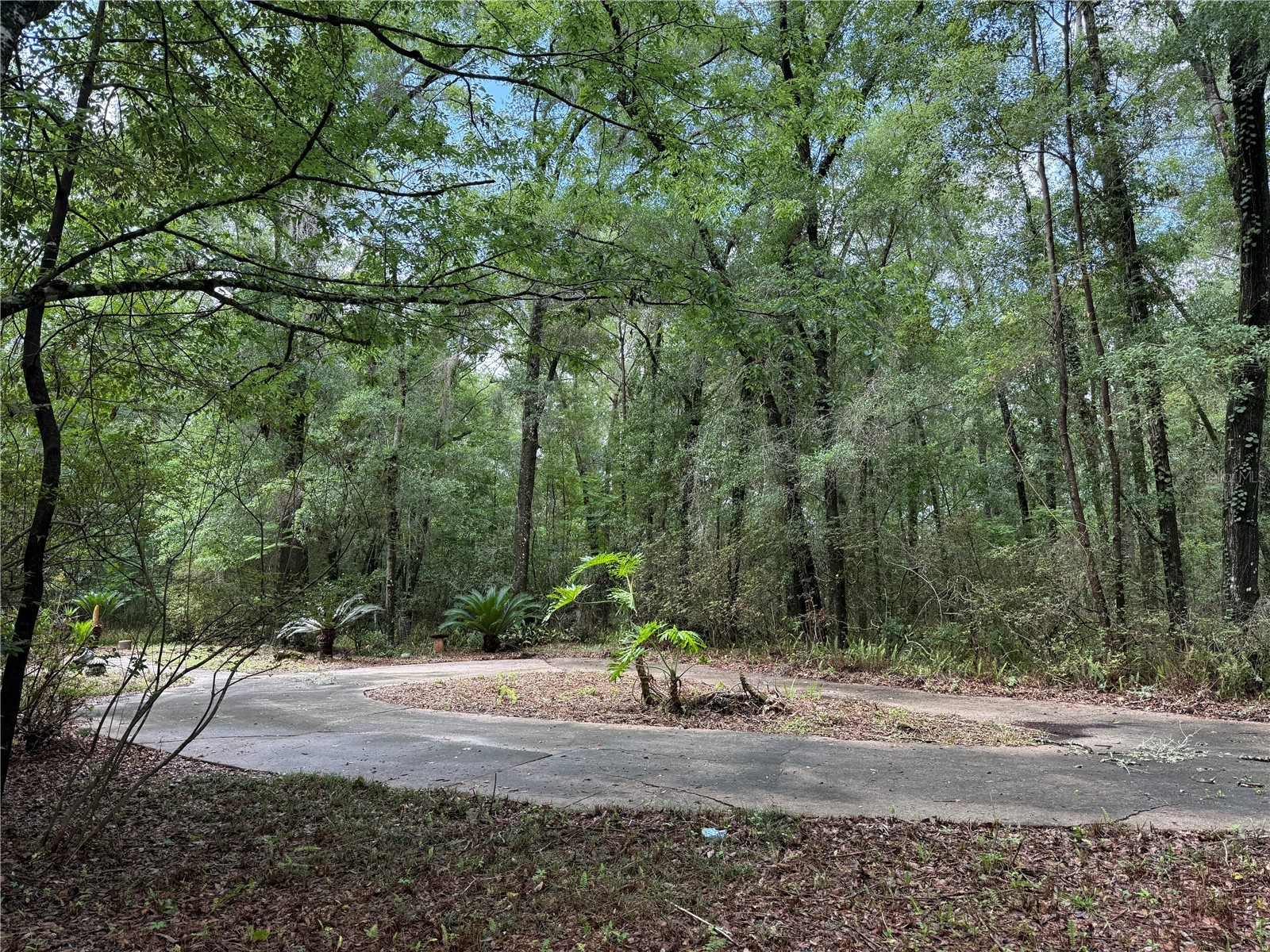 221 SW 138th Terrace Newberry FL 32669 GC540613 image13