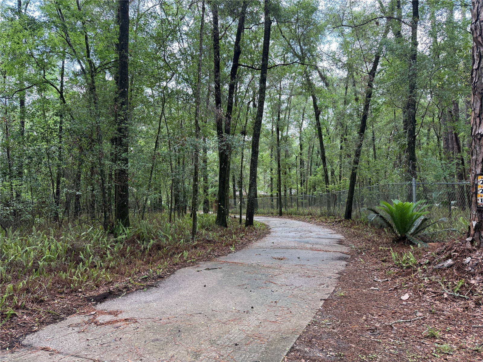 221 SW 138th Terrace Newberry FL 32669 GC540613 image16