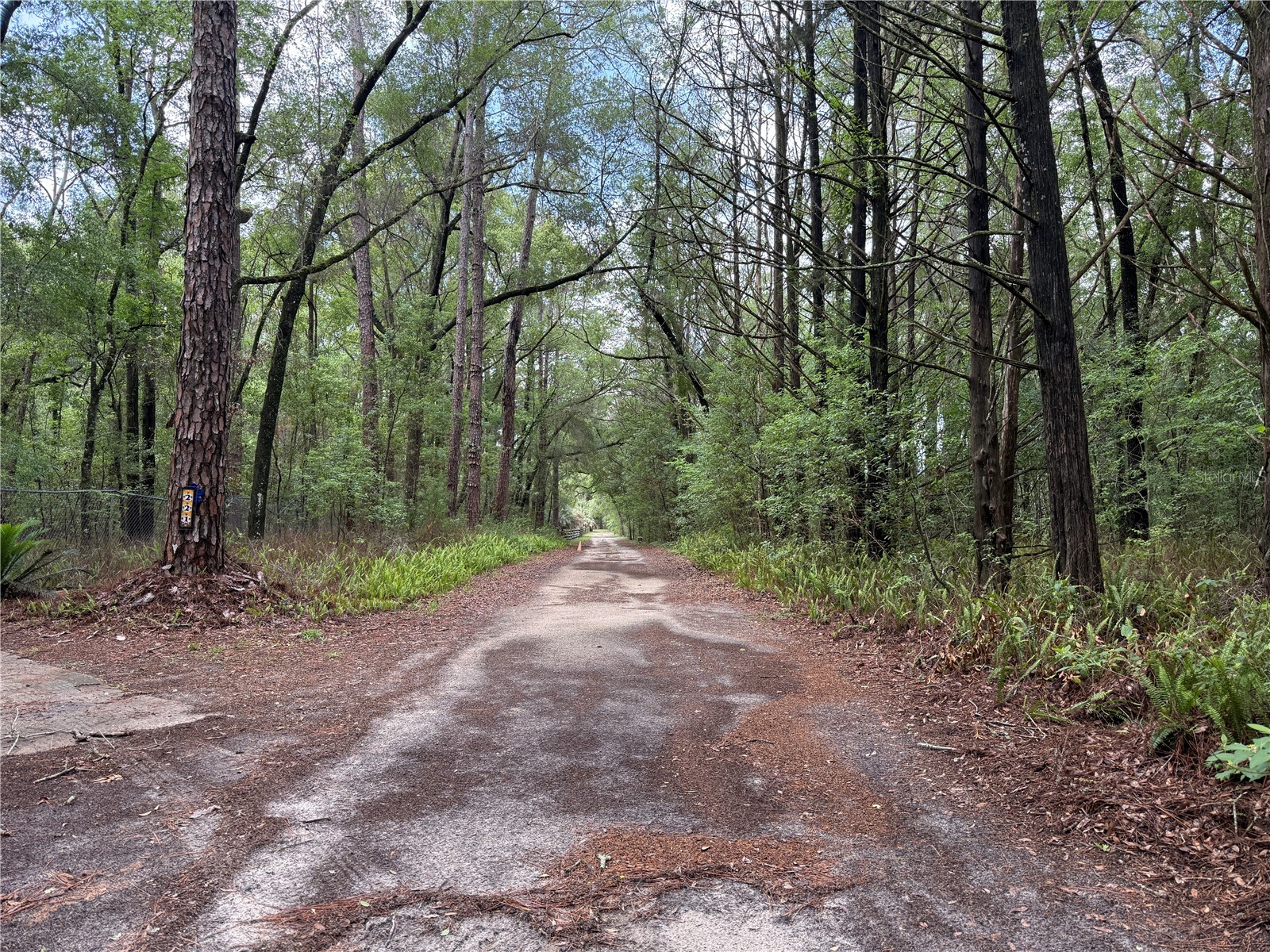 221 SW 138th Terrace Newberry FL 32669 GC540613 image18