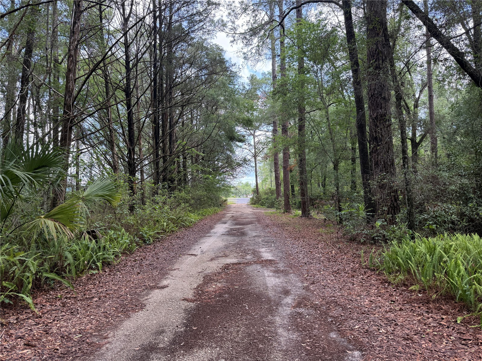 221 SW 138th Terrace Newberry FL 32669 GC540613 image20