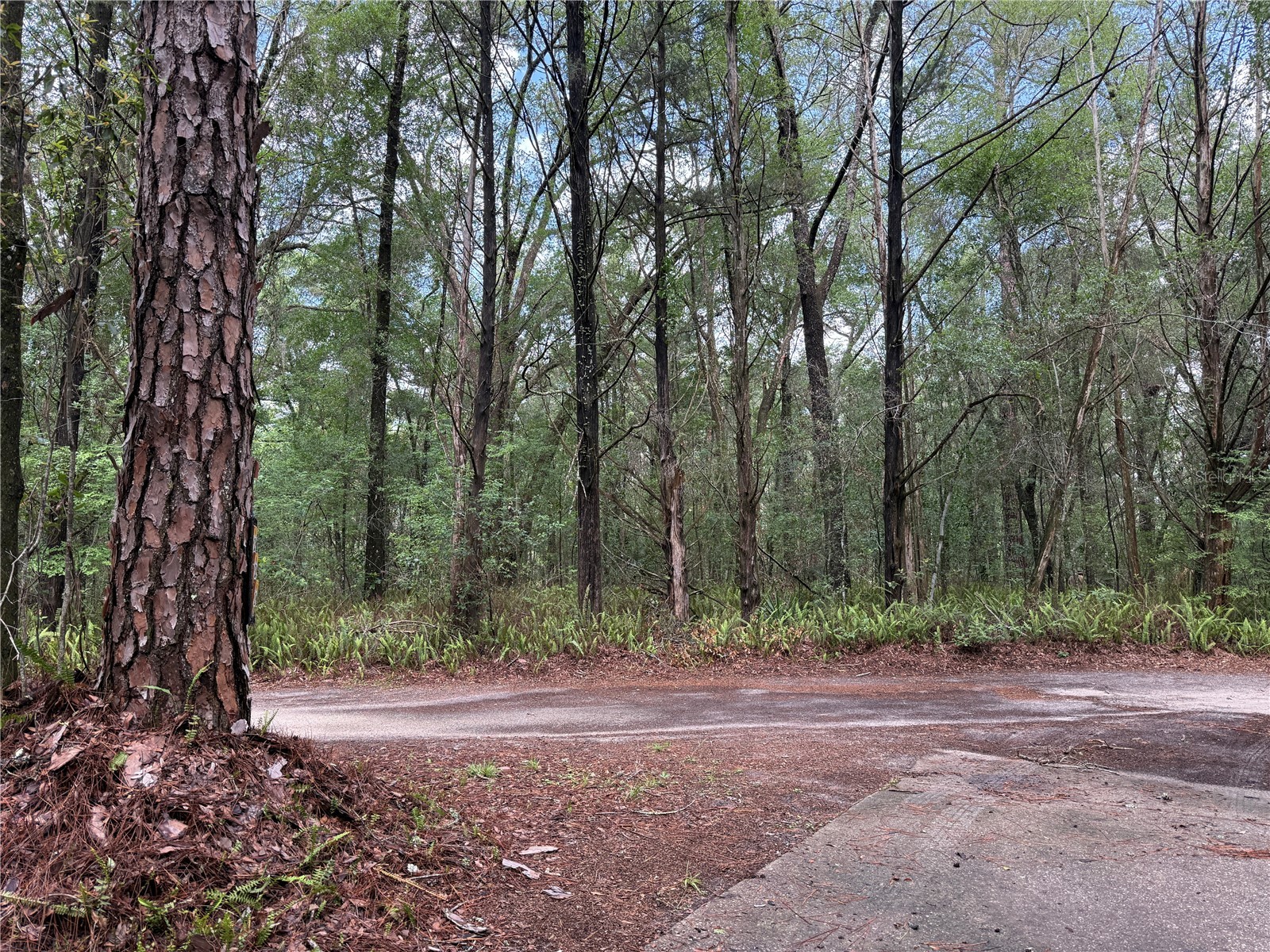 221 SW 138th Terrace Newberry FL 32669 GC540613 image21