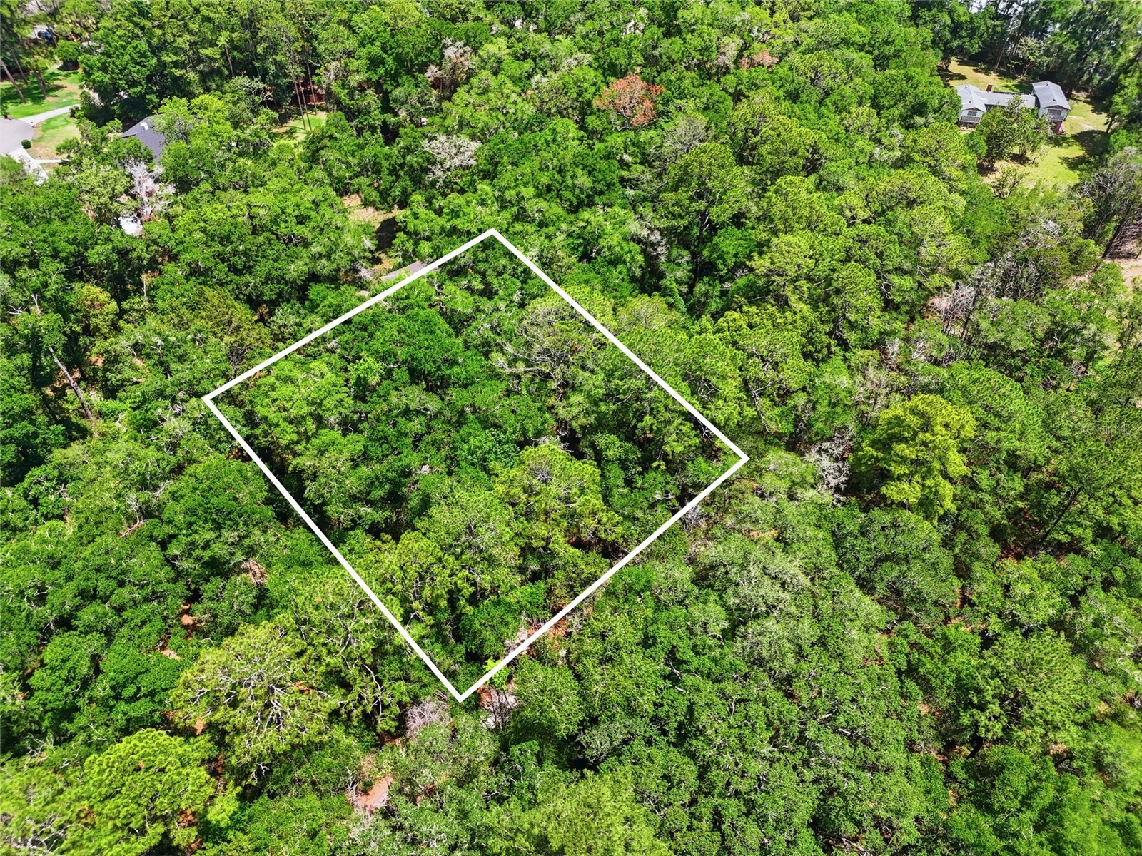 221 SW 138th Terrace Newberry FL 32669 GC540613 image32