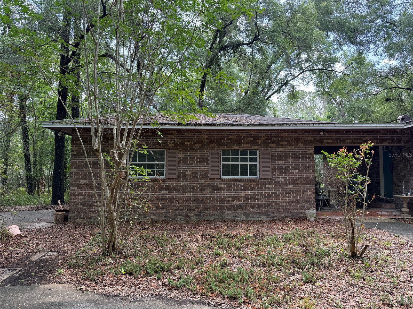 221 SW 138th Terrace Newberry FL 32669 GC540613 image7
