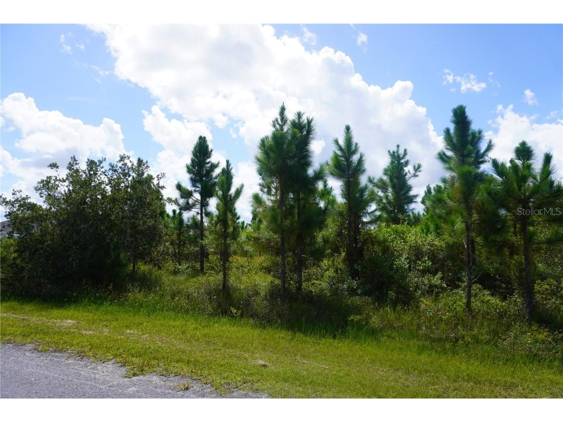 221 Tropicana Drive Indian Lake Estates FL 33855 P4936367 image1