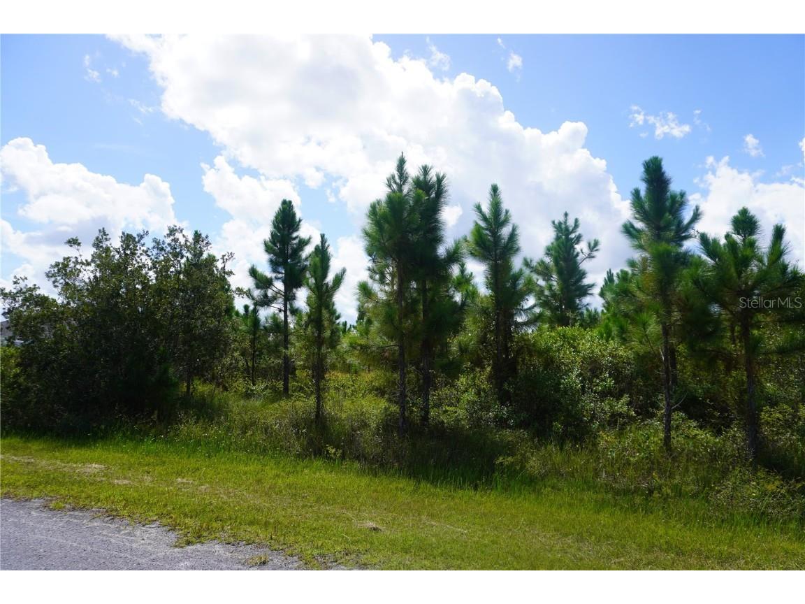 221 Tropicana Drive Indian Lake Estates FL 33855 P4936367 image2