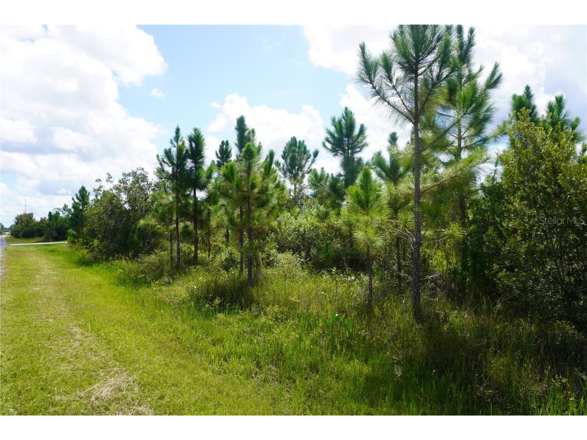 221 Tropicana Drive Indian Lake Estates FL 33855 P4936367 image3