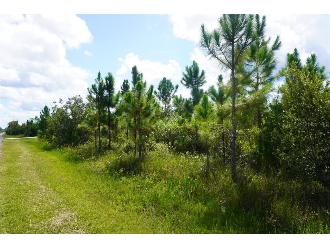 221 Tropicana Drive Indian Lake Estates FL 33855 P4936367 image4