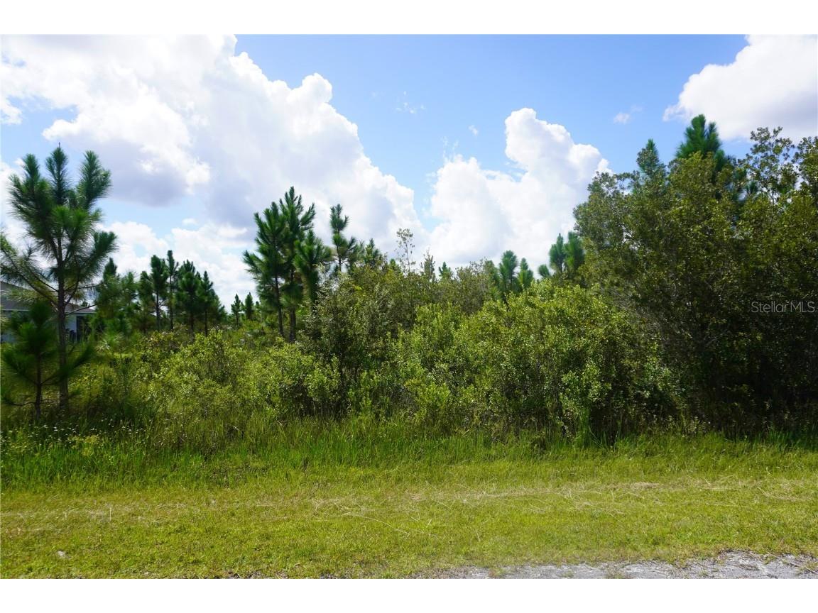 221 Tropicana Drive Indian Lake Estates FL 33855 P4936367 image5