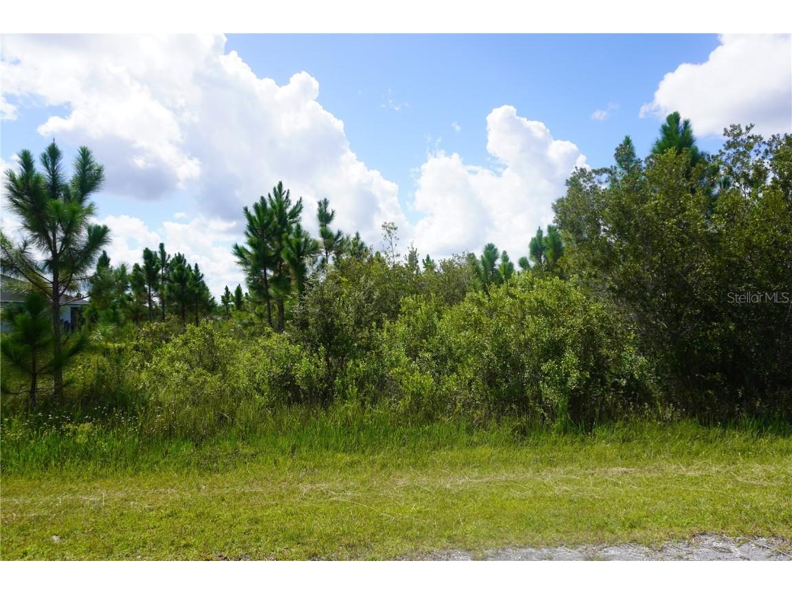 221 Tropicana Drive Indian Lake Estates FL 33855 P4936367 image6