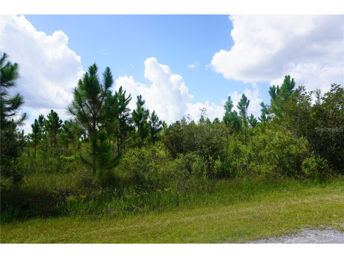 221 Tropicana Drive Indian Lake Estates FL 33855 P4936367 image7