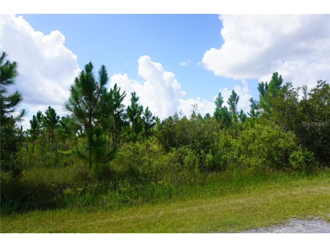 221 Tropicana Drive Indian Lake Estates FL 33855 P4936367 image8