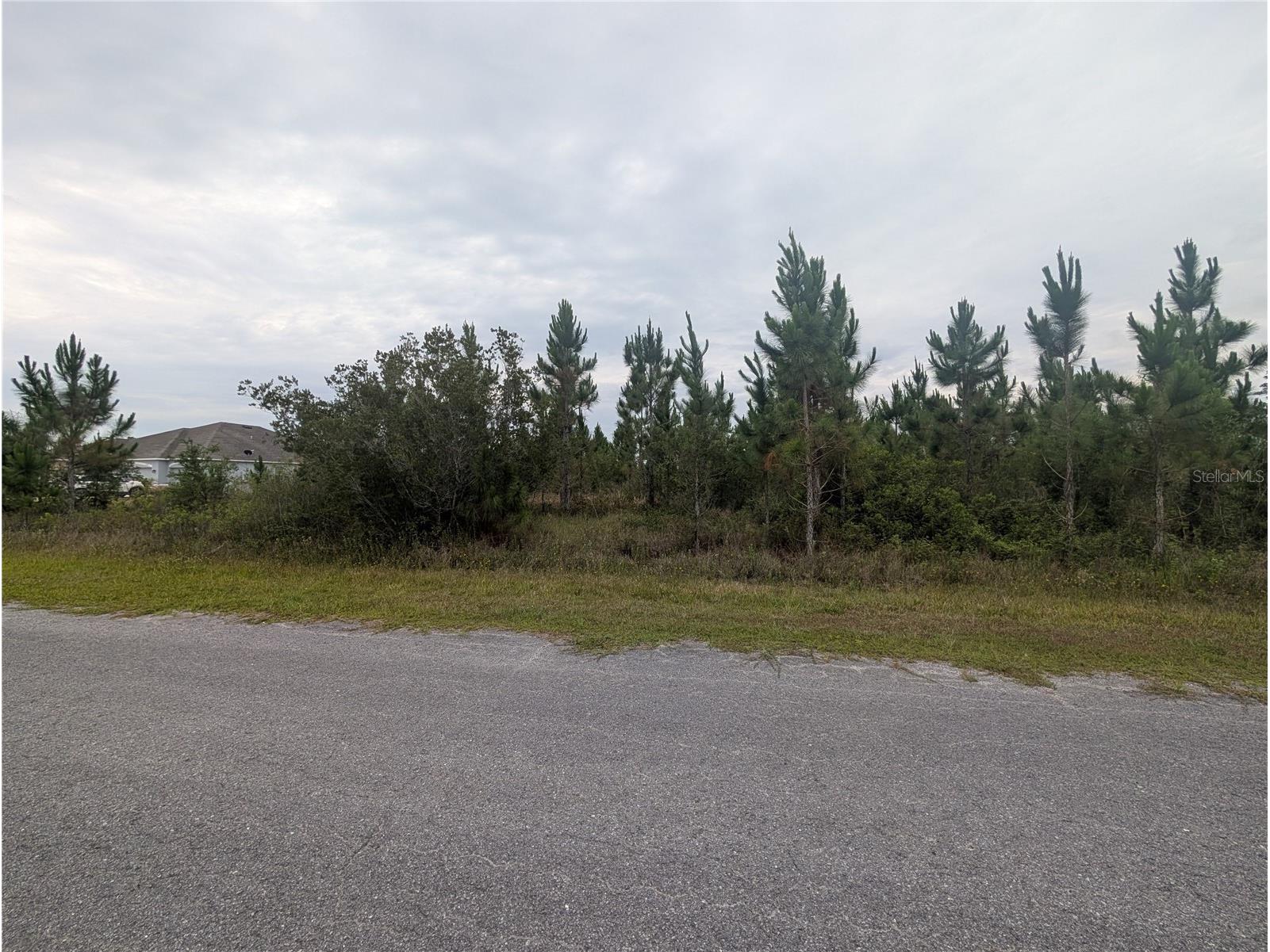 221 Tropicana Drive Indian Lake Estates FL 33855 - LAKE WALK-IN-WATER P4938835 image2