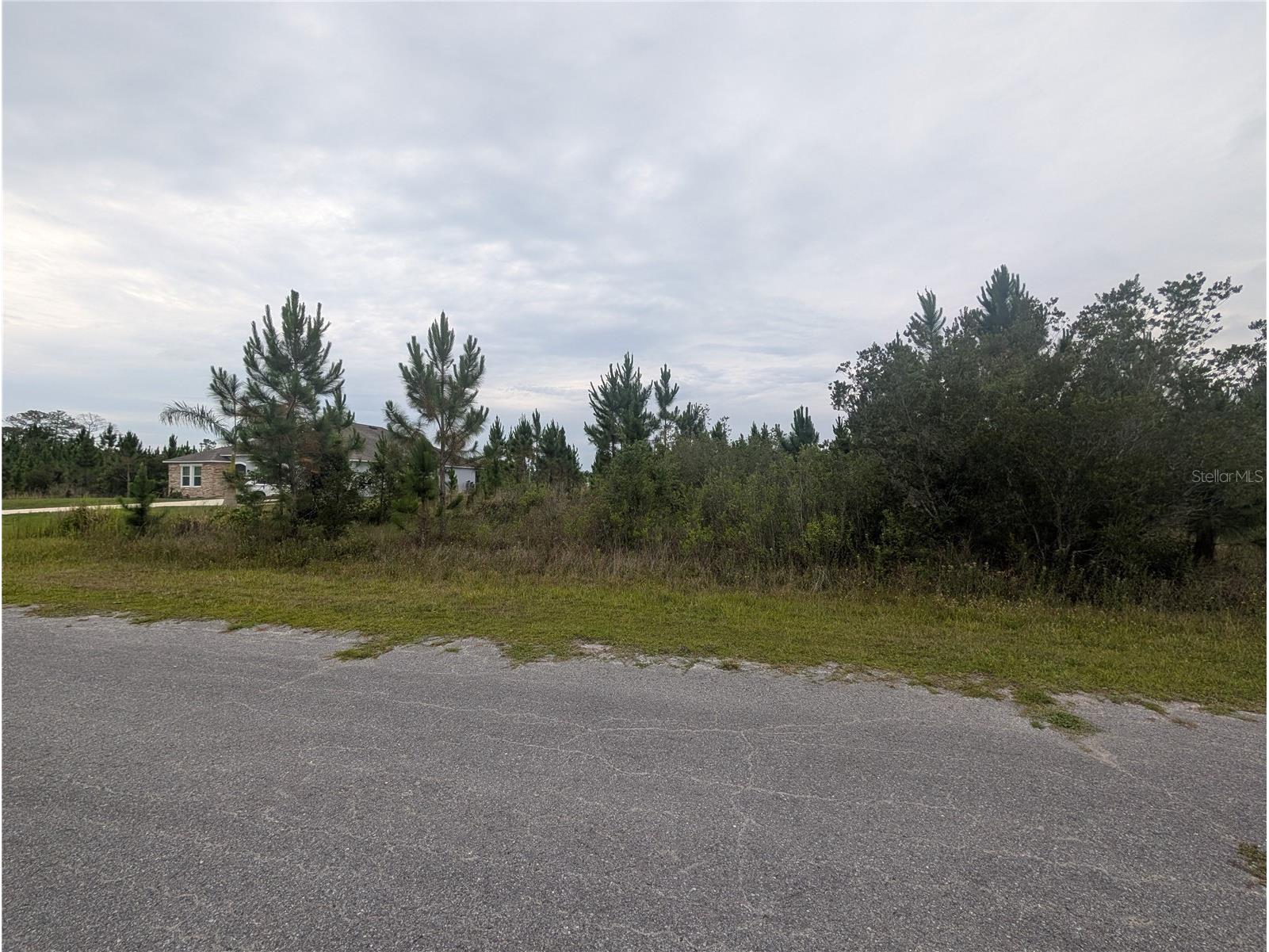 221 Tropicana Drive Indian Lake Estates FL 33855 - LAKE WALK-IN-WATER P4938835 image3