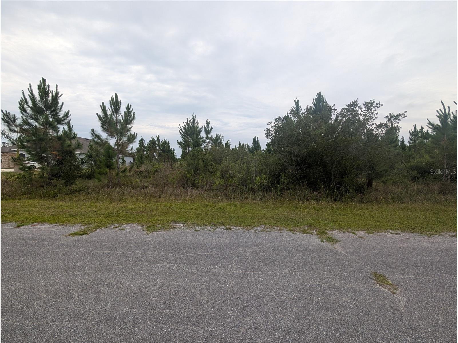 221 Tropicana Drive Indian Lake Estates FL 33855 - LAKE WALK-IN-WATER P4938835 image4
