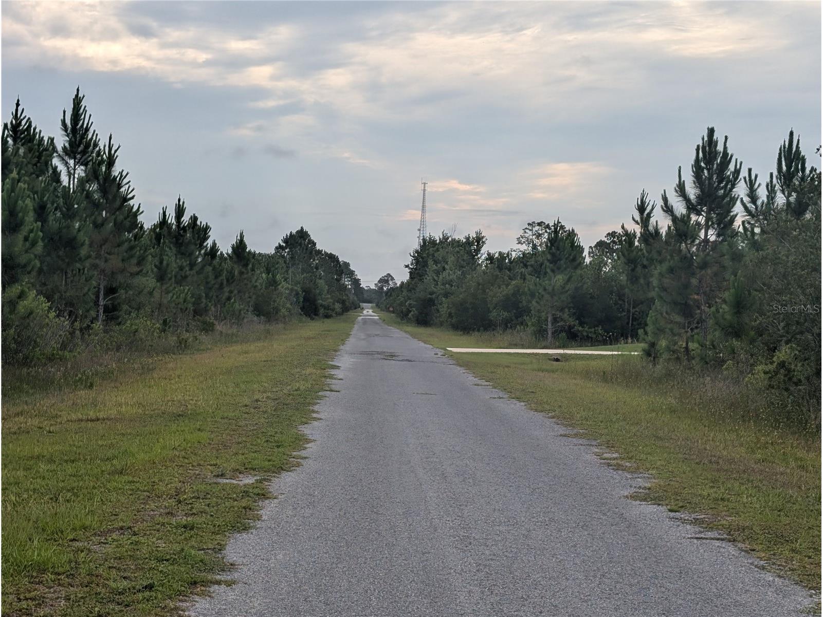 221 Tropicana Drive Indian Lake Estates FL 33855 - LAKE WALK-IN-WATER P4938835 image5