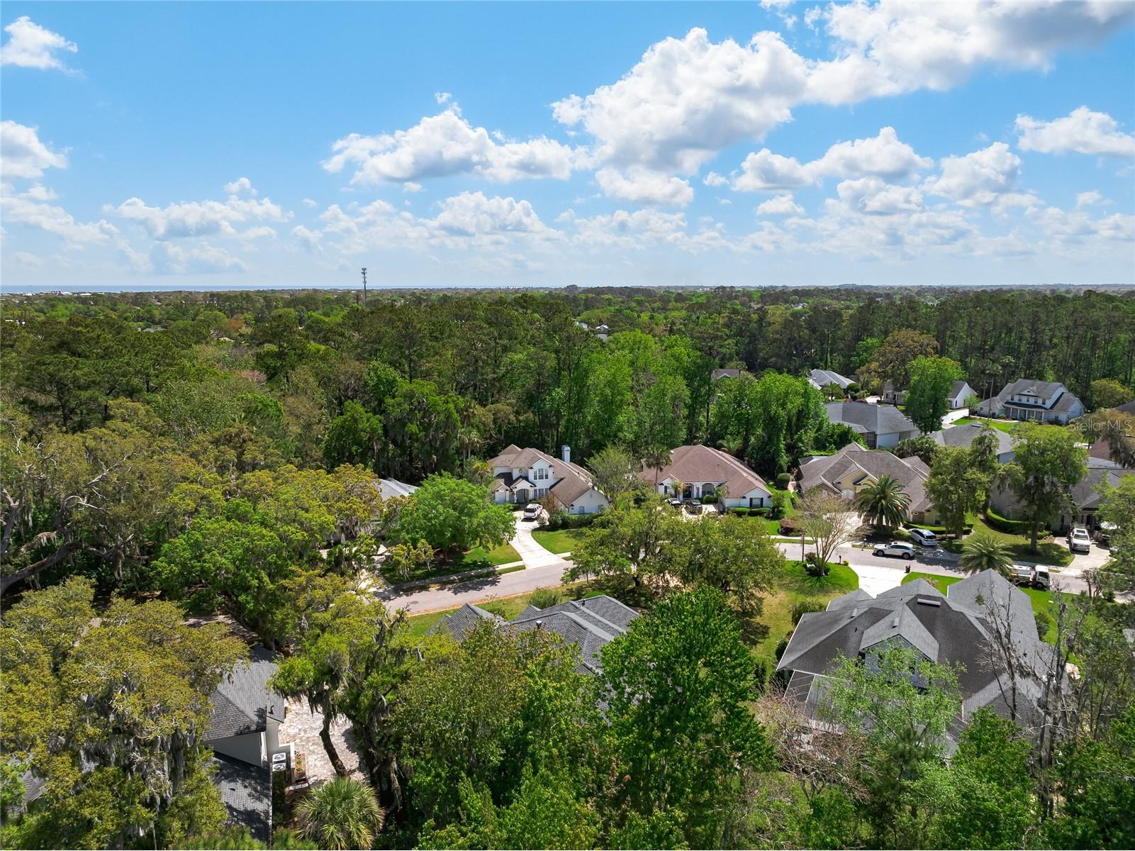 221 Woody Creek Drive Ponte Vedra Beach FL 32082 O6405801 image56