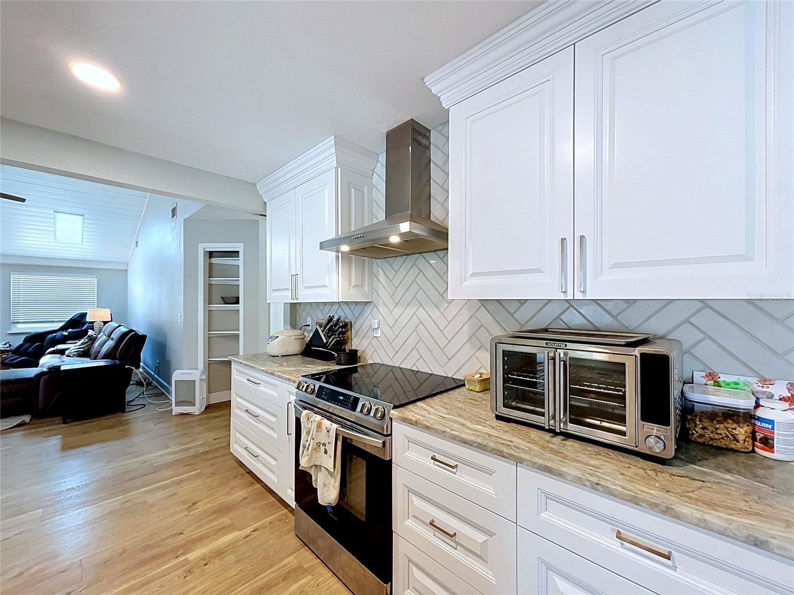 2210 Arbor Oaks Drive Valrico FL 33594 TB8508862 image23