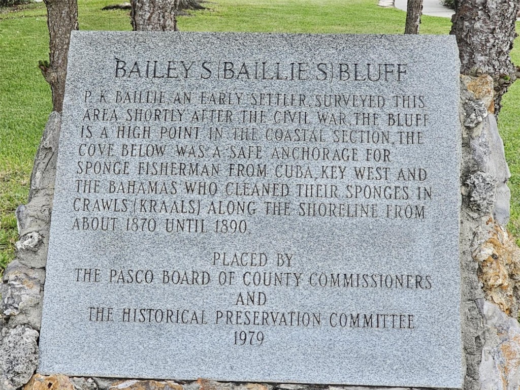 2210 Bayou Drive Holiday FL 34691 TB8399727 image49