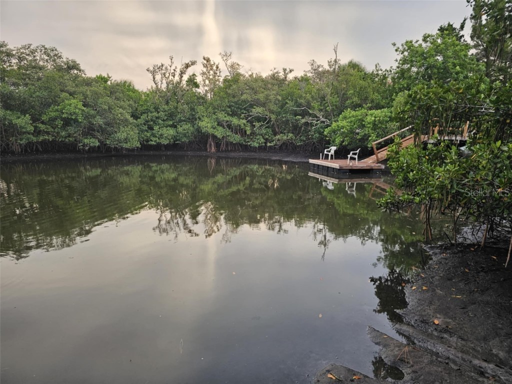 2210 Bayou Drive Holiday FL 34691 TB8399727 image51