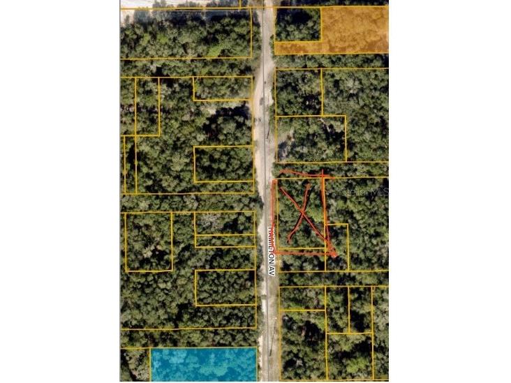 2210 Hamilton Avenue Orange City FL 32763 W7856641 image1