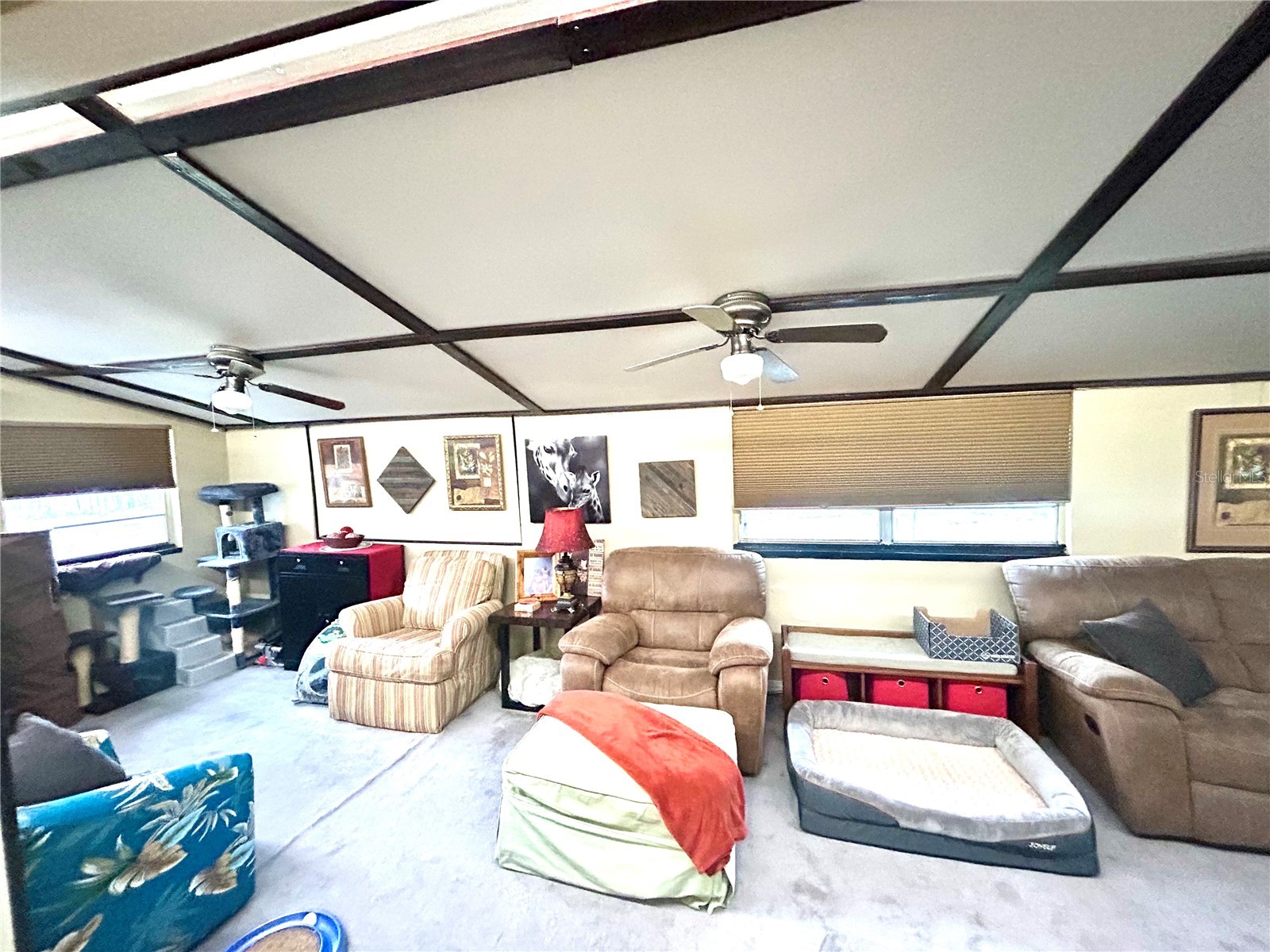 2210 Murdock Boulevard Orlando FL 32817 O6412133 image8