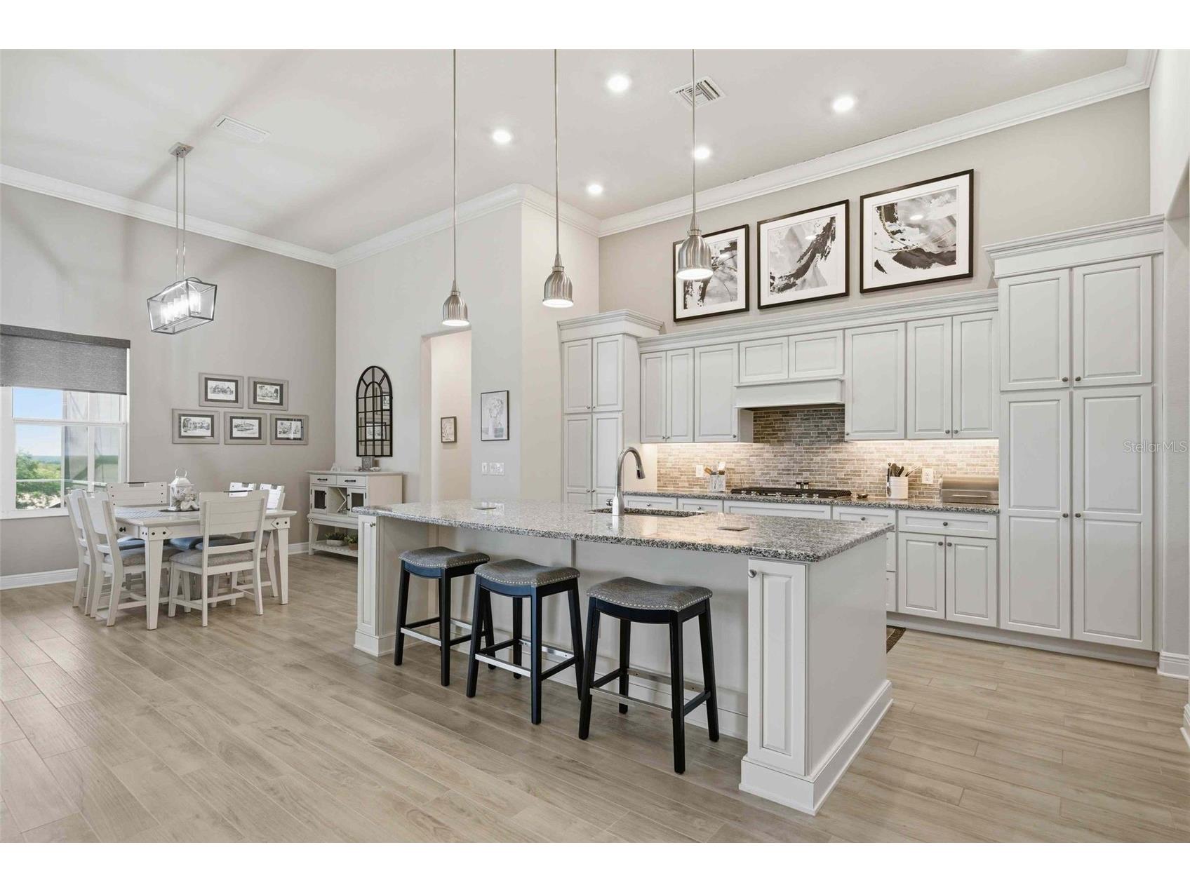 2210 N Peakview Loop Hernando FL 34442 TB8499191 image24