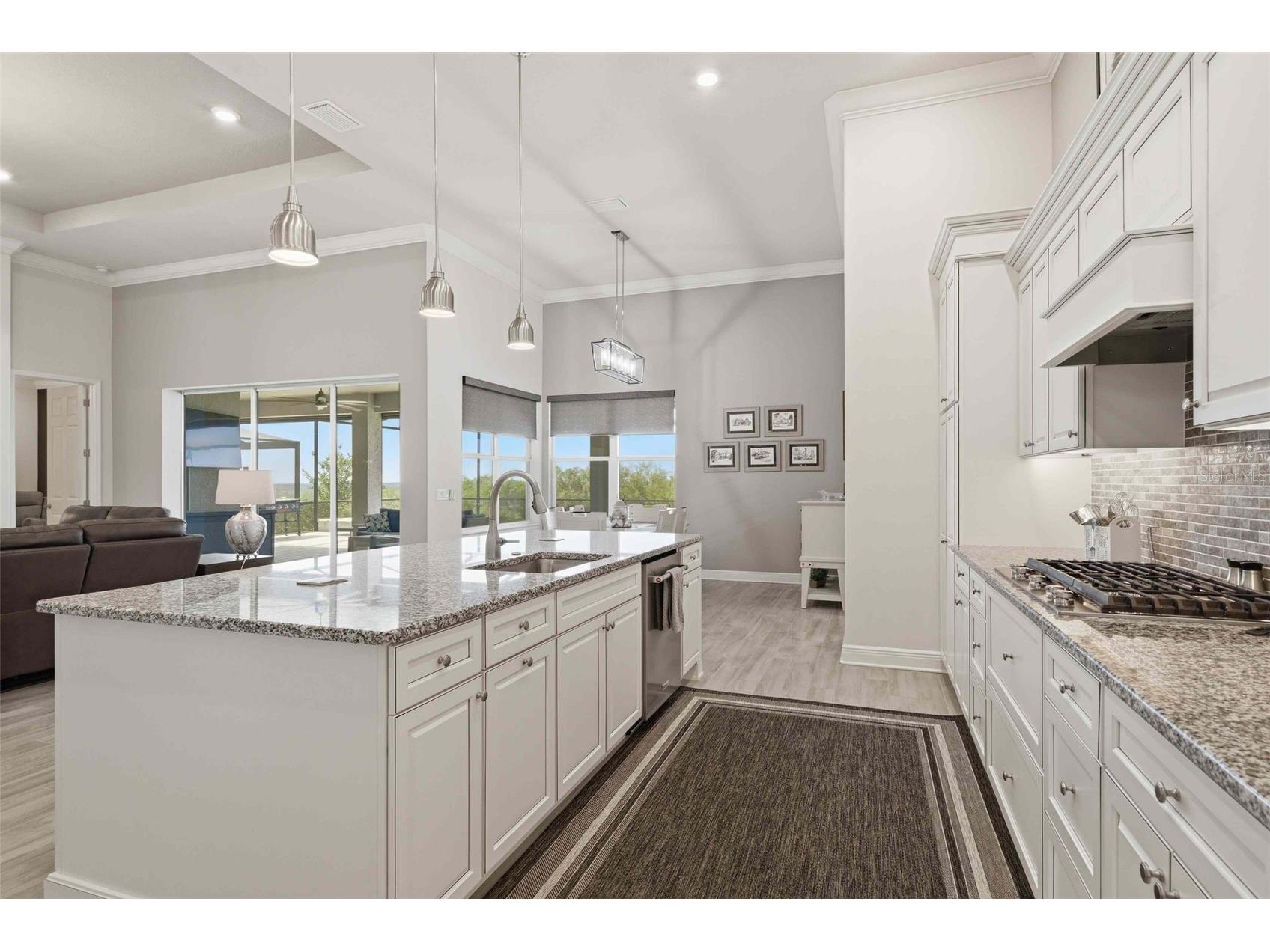 2210 N Peakview Loop Hernando FL 34442 TB8499191 image25