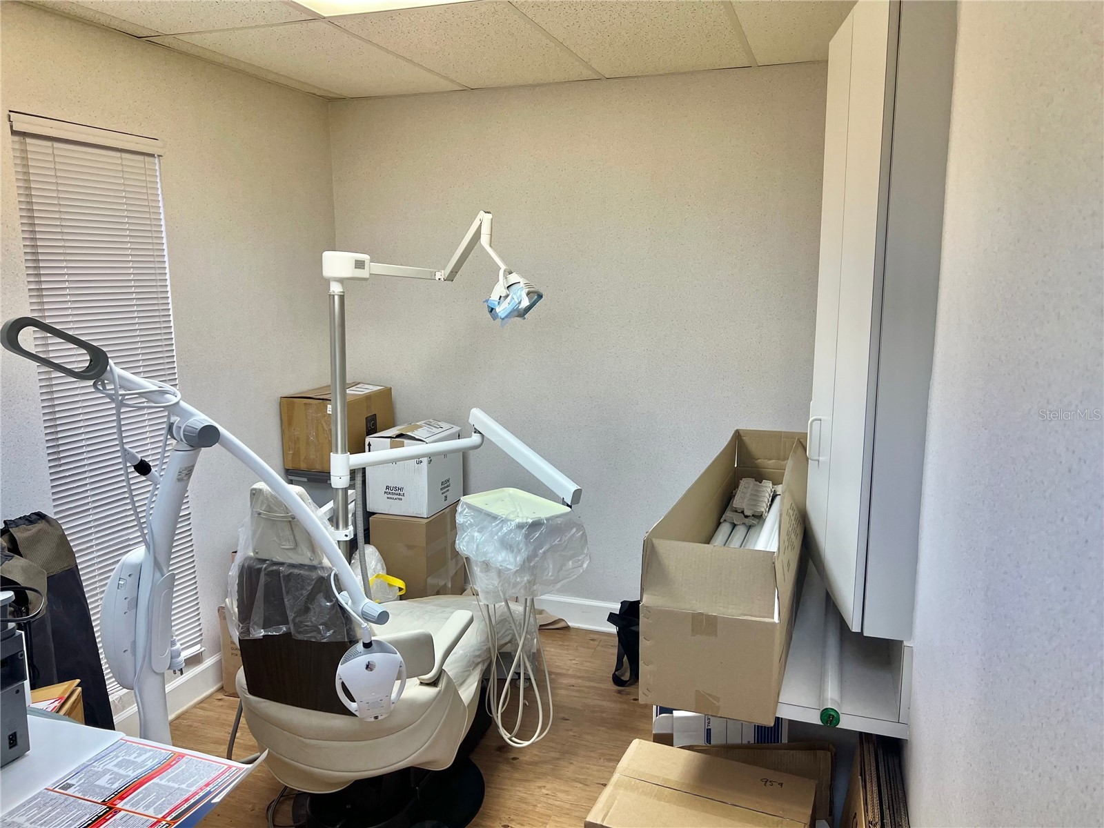 2210 S Macdill Avenue Tampa FL 33629 TB8527652 image6