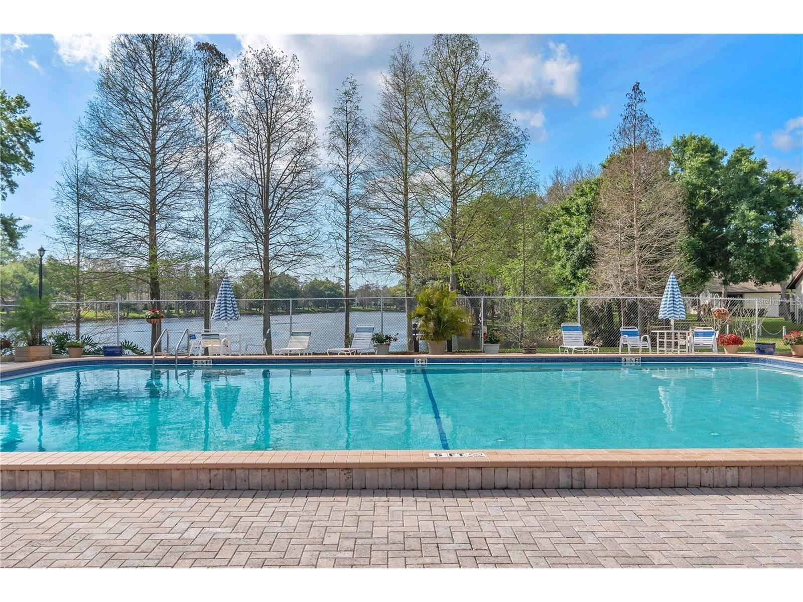 2210 Sequoia Drive Clearwater FL 33763 TB8499696 image24