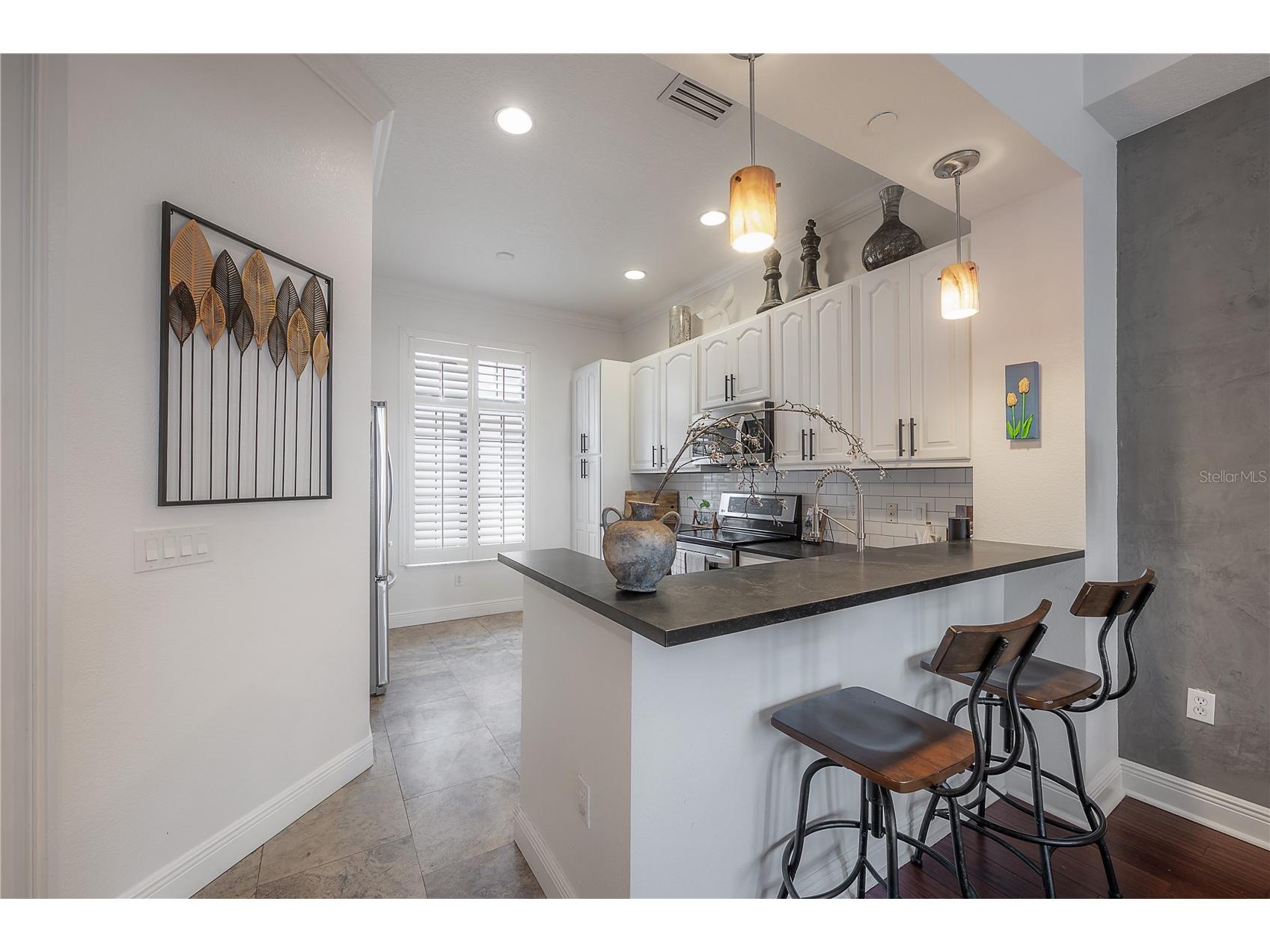 2210 Soho Bay Court Tampa FL 33606 TB8462451 image6