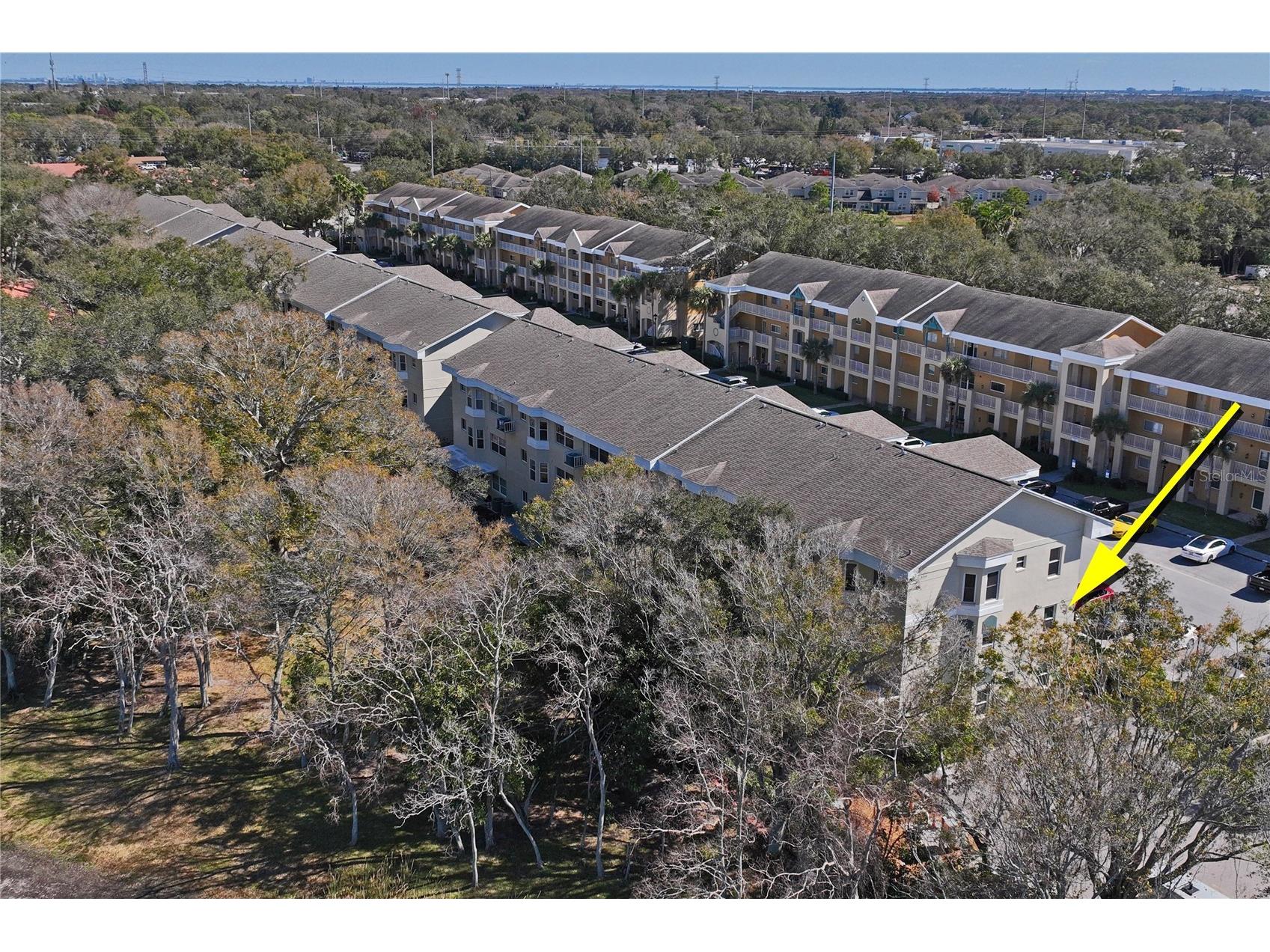 2210 Utopian Drive E #201 Clearwater FL 33763 - Arbor Lake TB8473904 image45