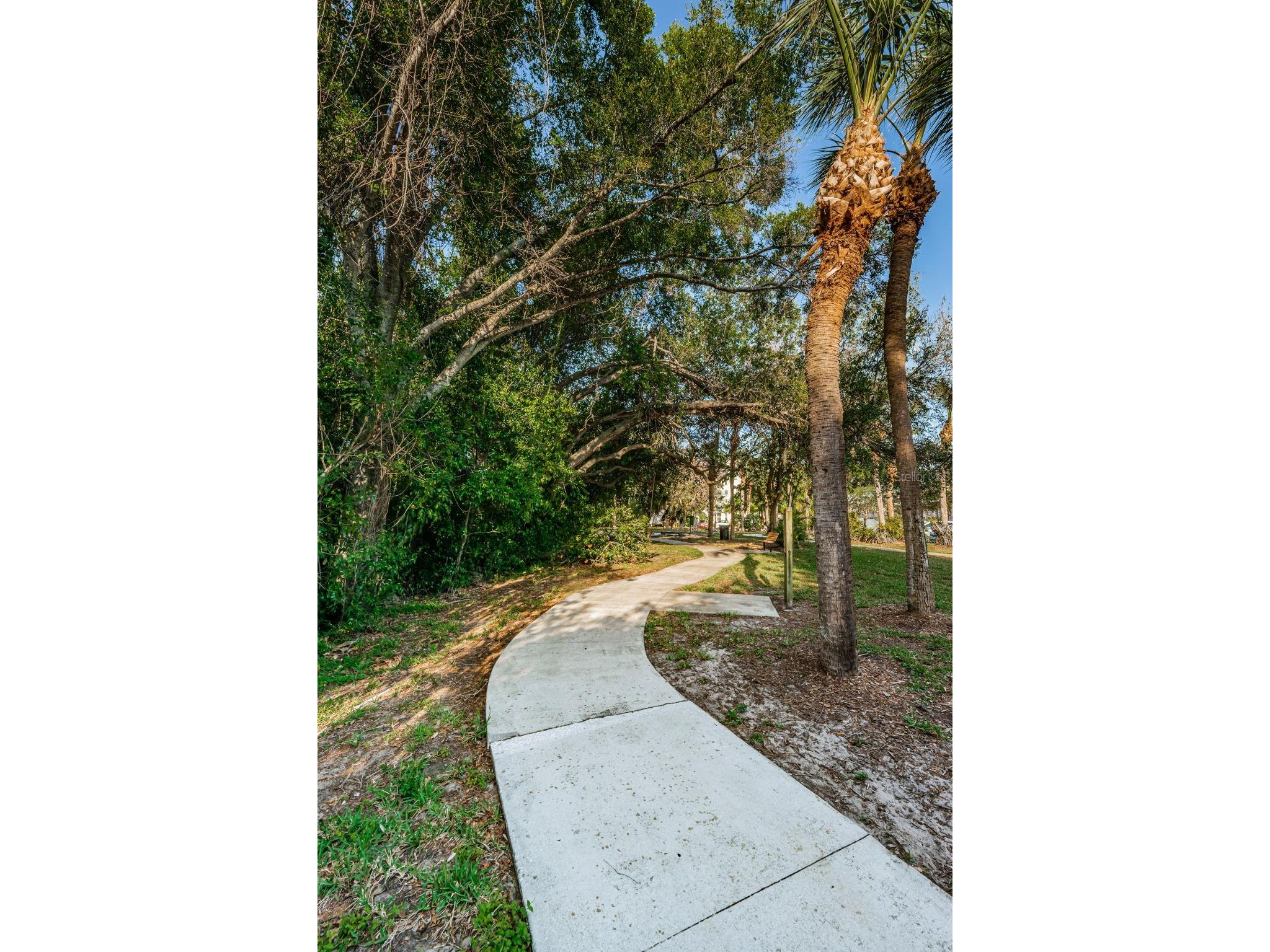 2210 Utopian Drive E #203 Clearwater FL 33763 TB8488091 image43