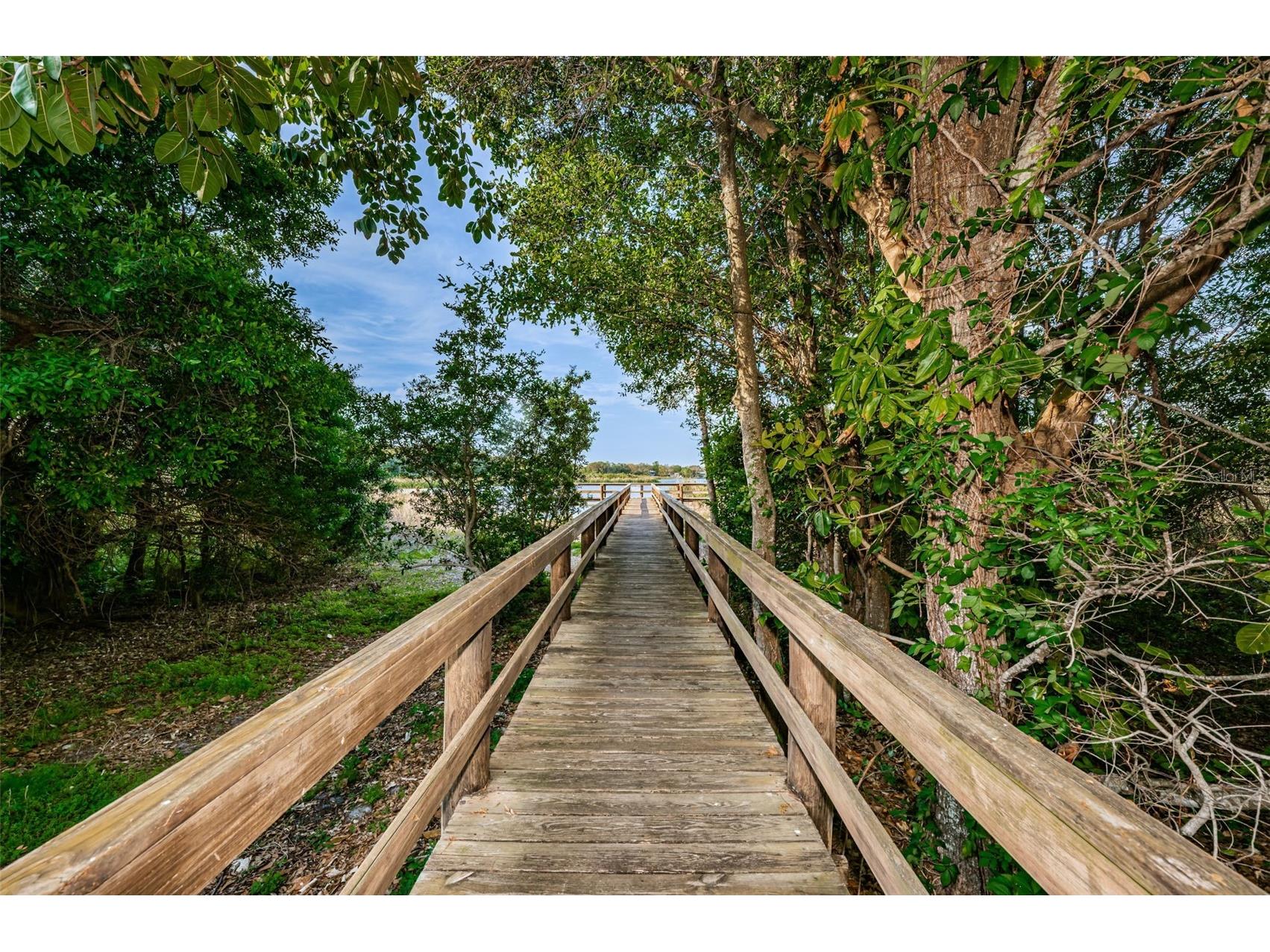 2210 Utopian Drive E #203 Clearwater FL 33763 TB8488091 image44
