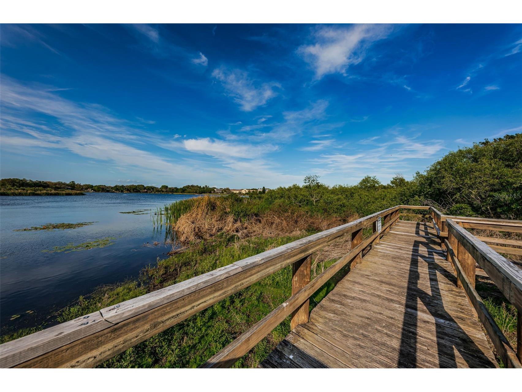 2210 Utopian Drive E #203 Clearwater FL 33763 TB8488091 image47