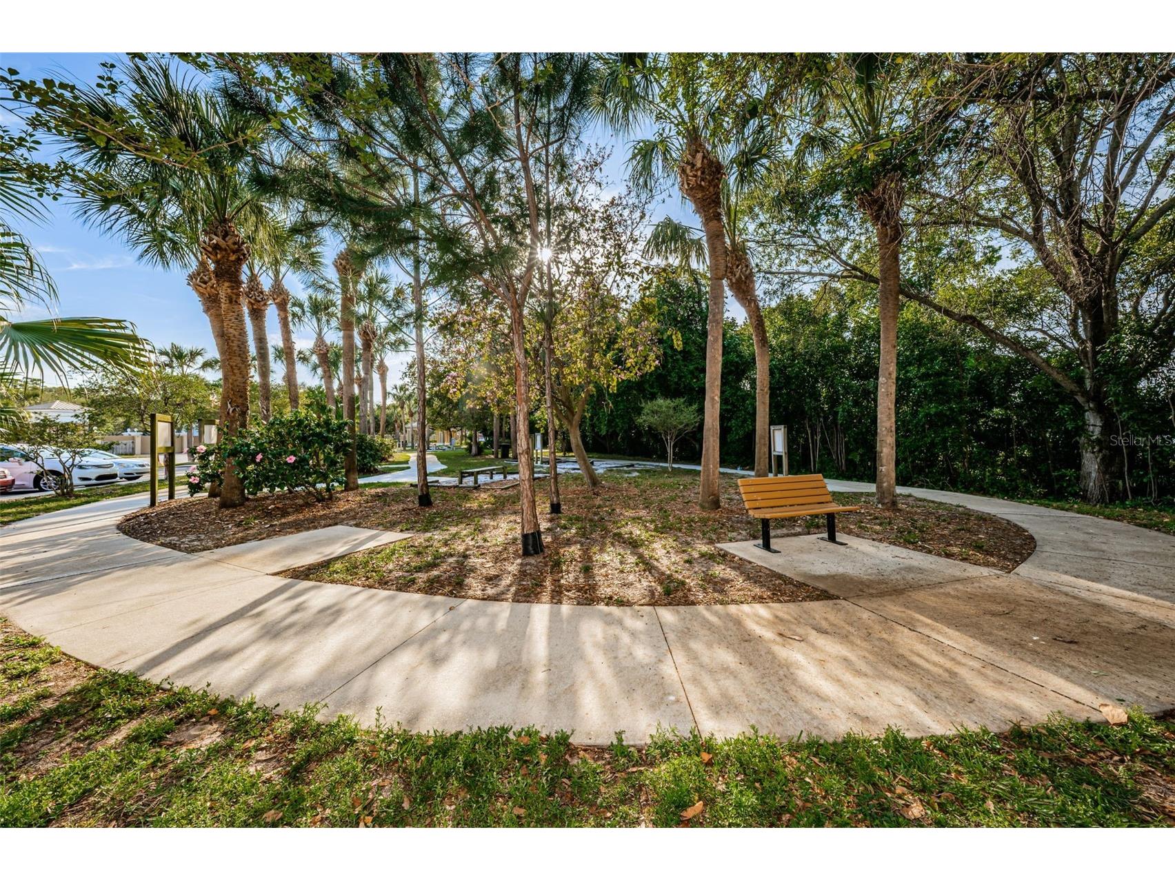2210 Utopian Drive E #203 Clearwater FL 33763 TB8488091 image48