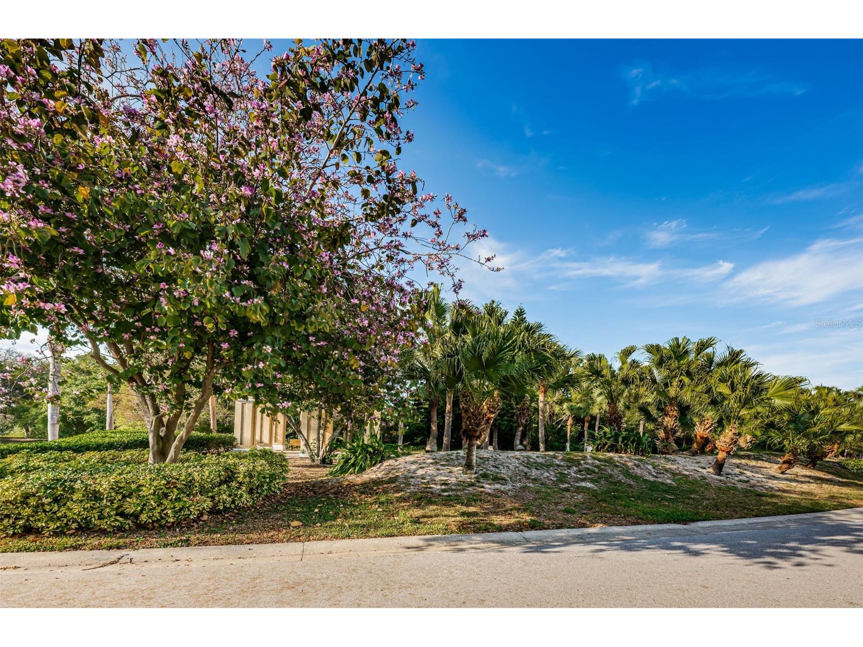 2210 Utopian Drive E #203 Clearwater FL 33763 TB8488091 image49