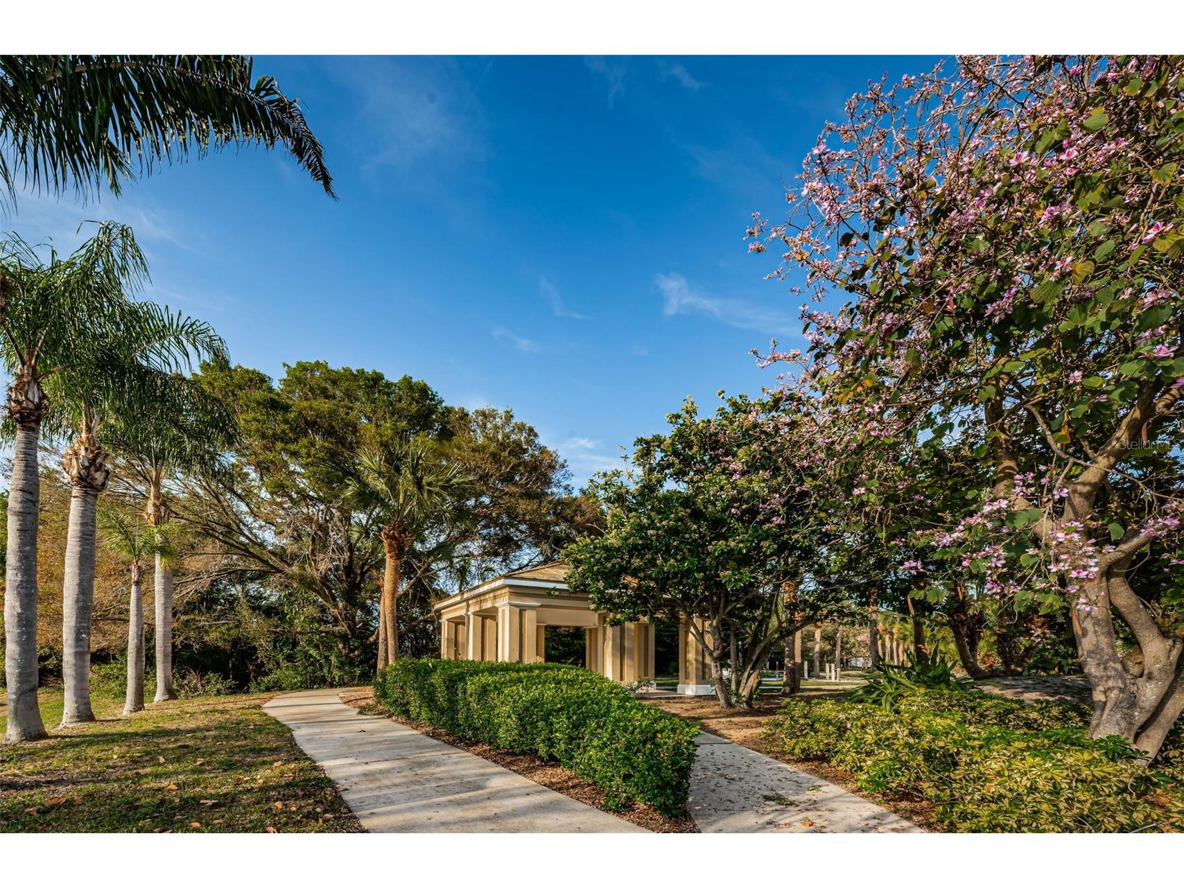 2210 Utopian Drive E #203 Clearwater FL 33763 TB8488091 image52