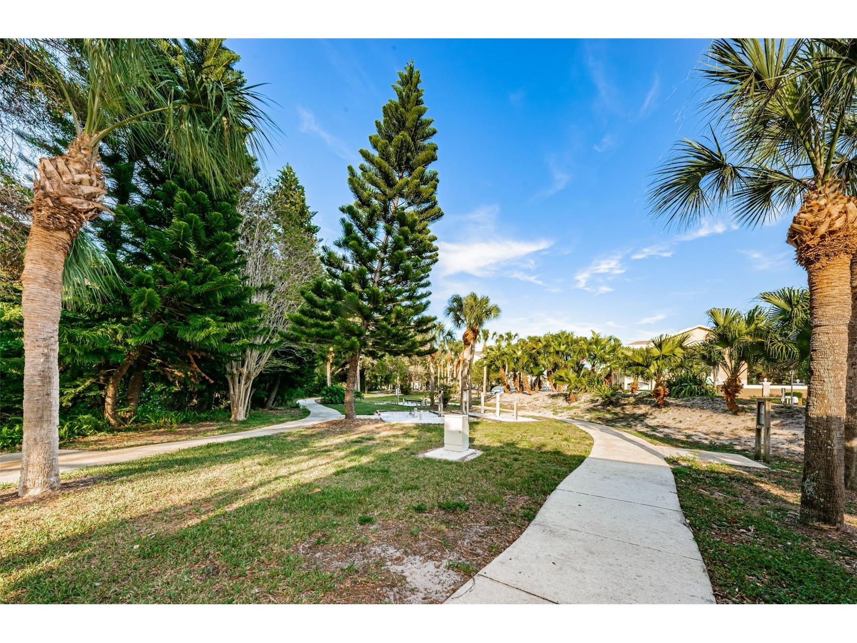 2210 Utopian Drive E #203 Clearwater FL 33763 TB8488091 image53