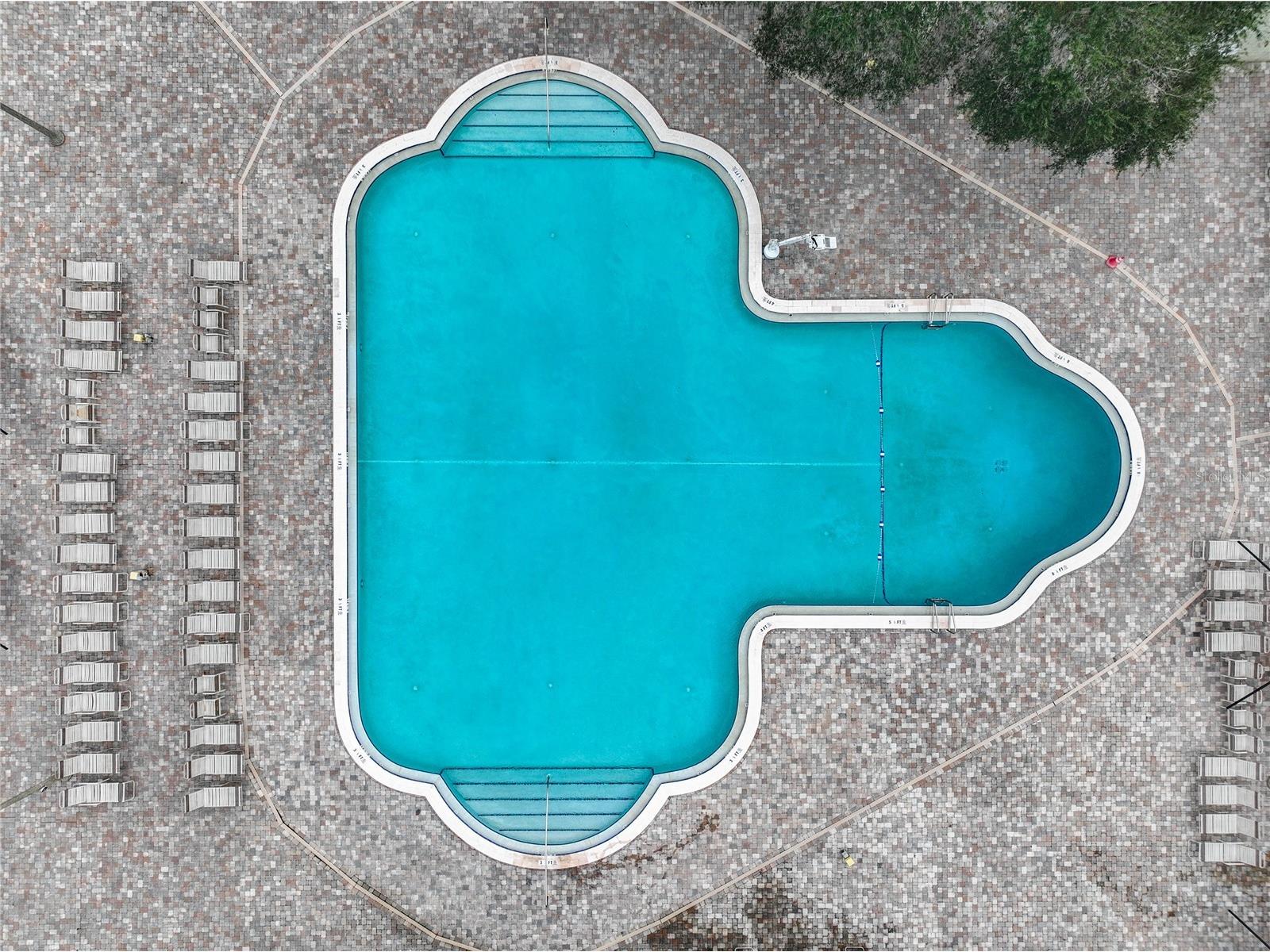 2210 Utopian Drive E #214 Clearwater FL 33763 TB8459330 image36