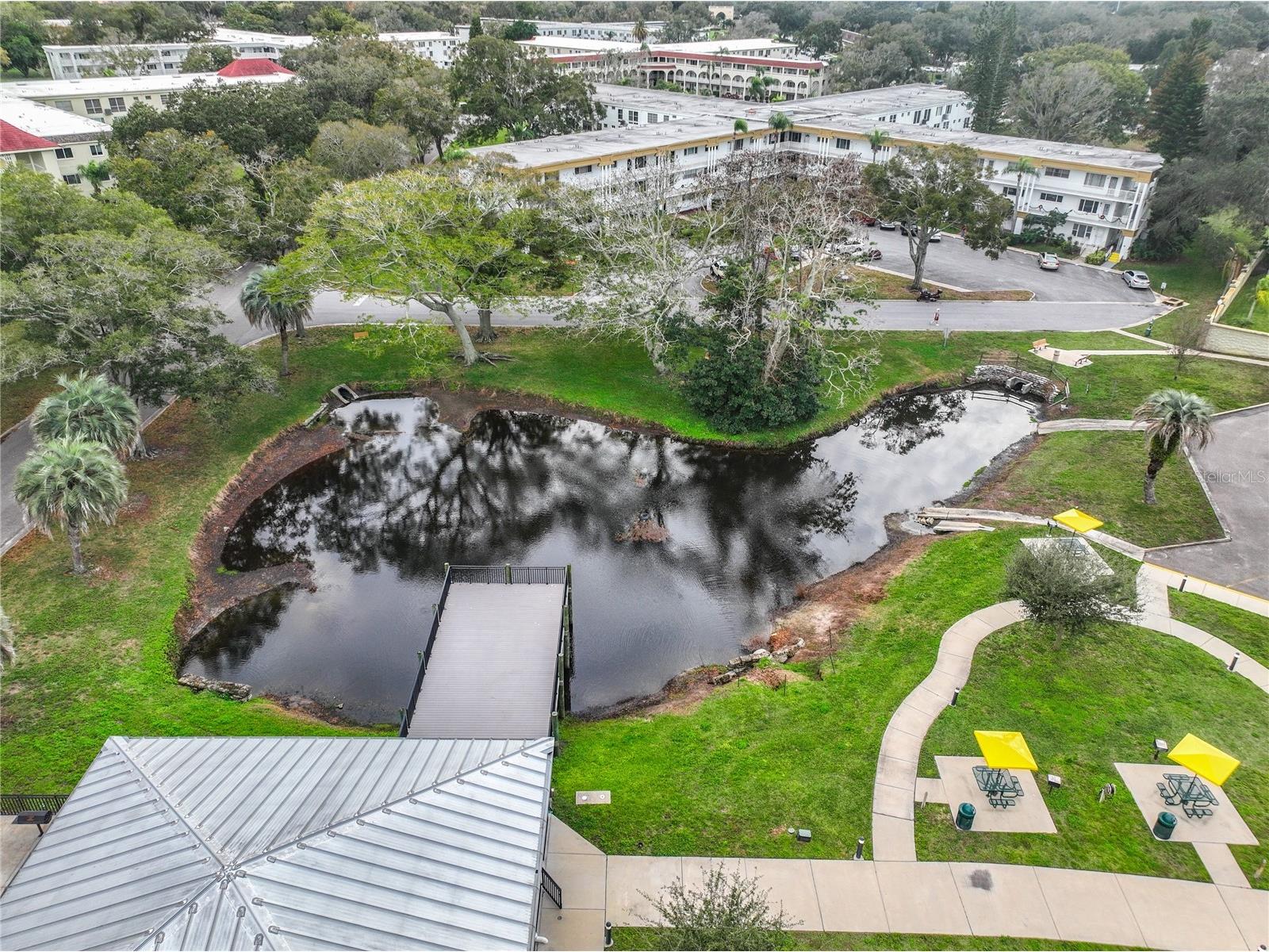 2210 Utopian Drive E #214 Clearwater FL 33763 TB8459330 image39