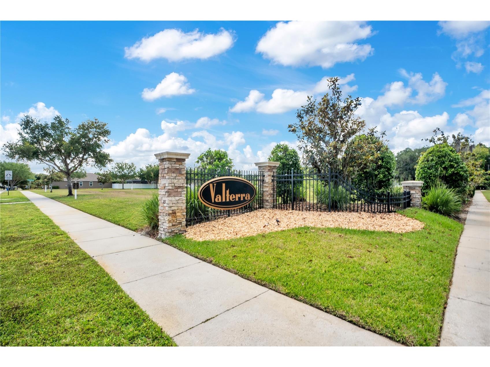 2210 Valterra Vista Way Valrico FL 33594 TB8501820 image48