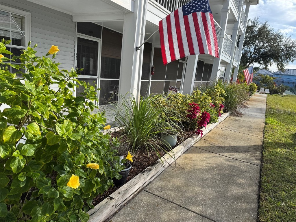 2210 Vista Del Sol Circle #503 Lutz FL 33558 W7881421 image16