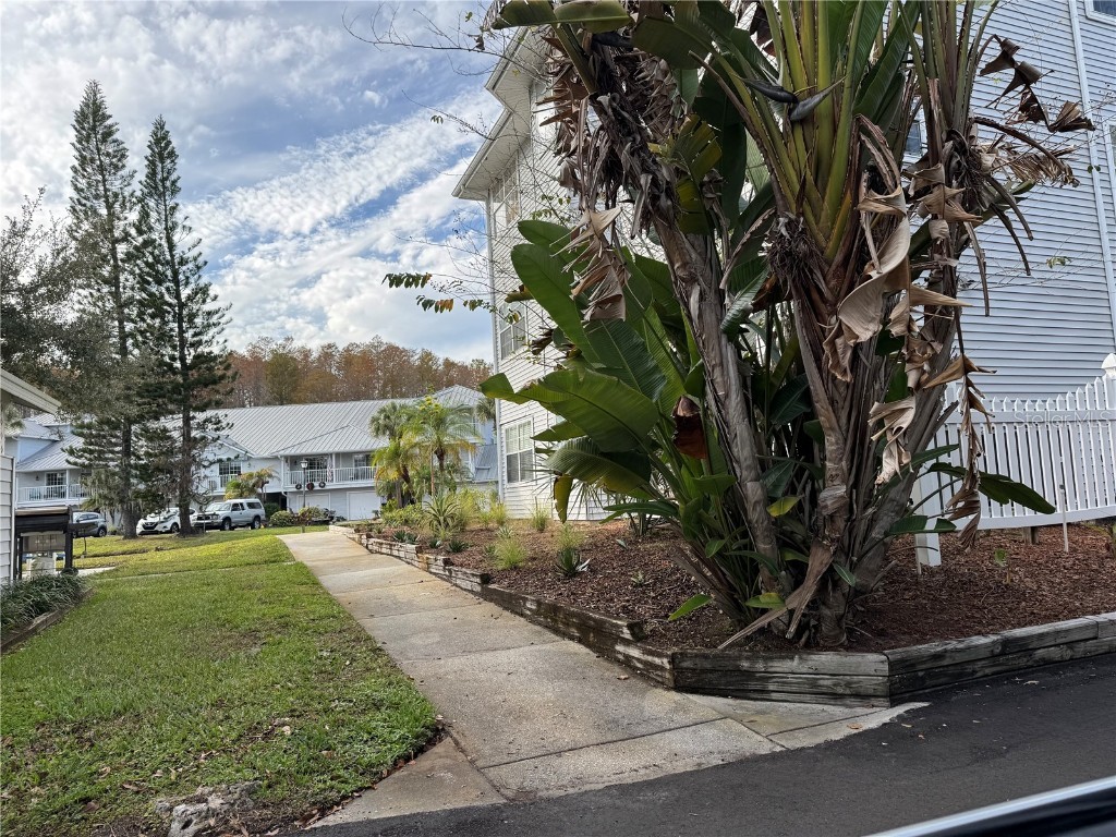 2210 Vista Del Sol Circle #503 Lutz FL 33558 W7881421 image20