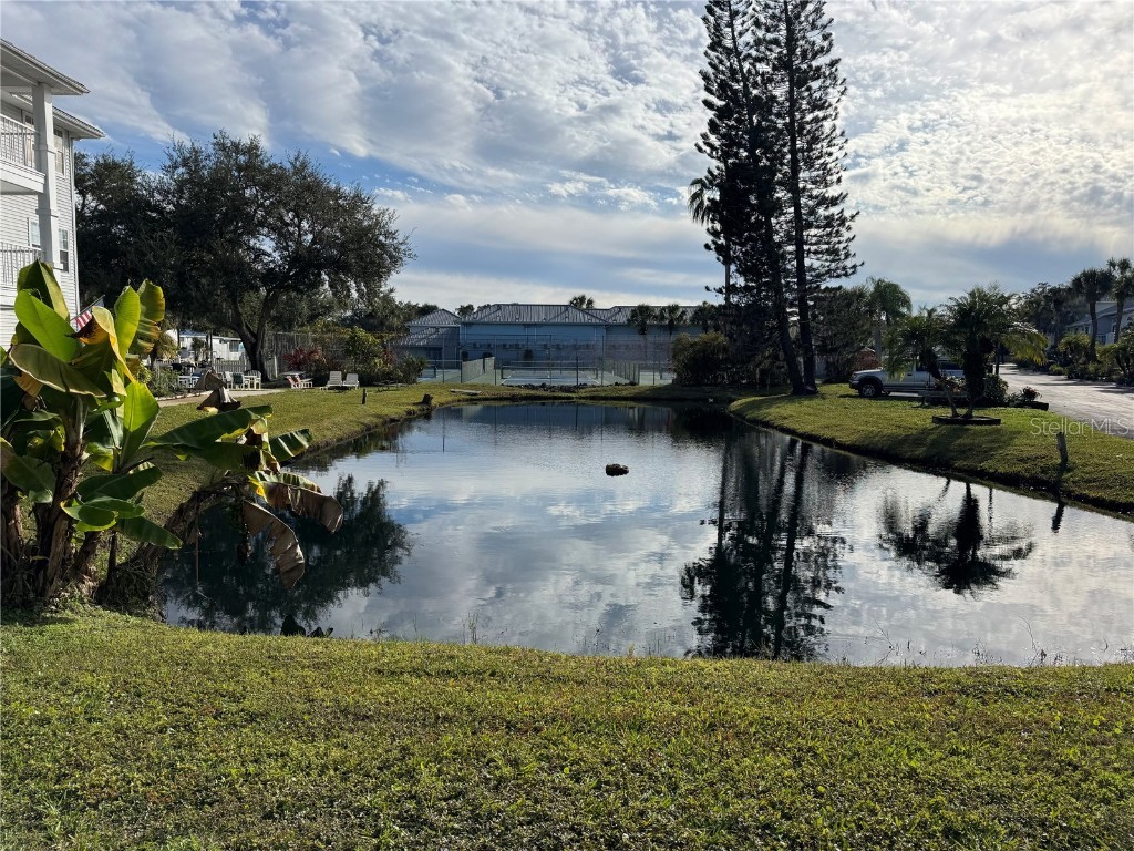 2210 Vista Del Sol Circle #503 Lutz FL 33558 W7881421 image21