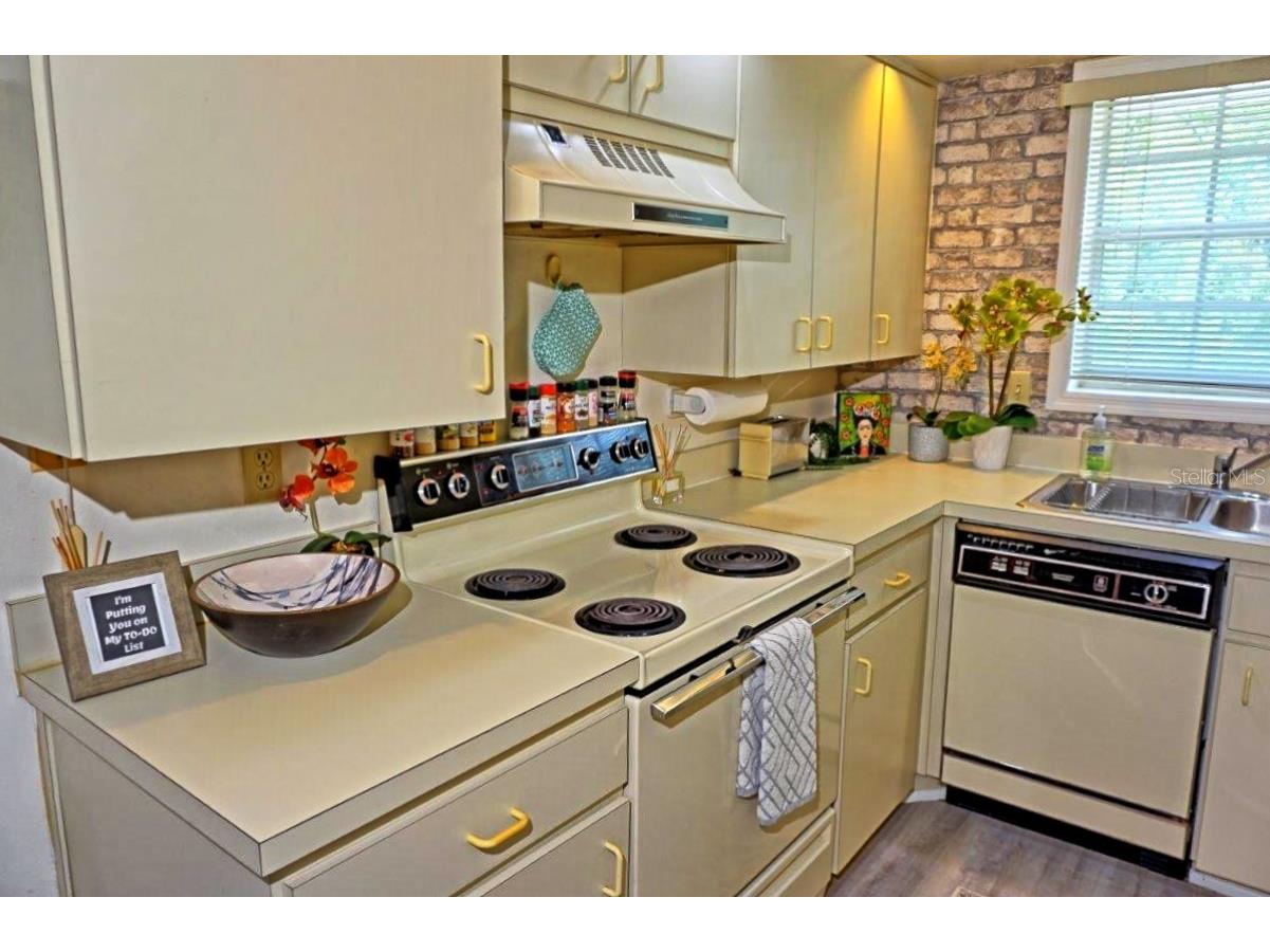 2210 Vista Del Sol Circle #520 Lutz FL 33558 W7878568 image12