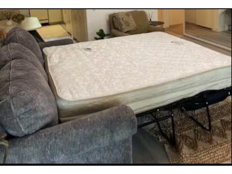 2210 Vista Del Sol Circle #520 Lutz FL 33558 W7878568 image8