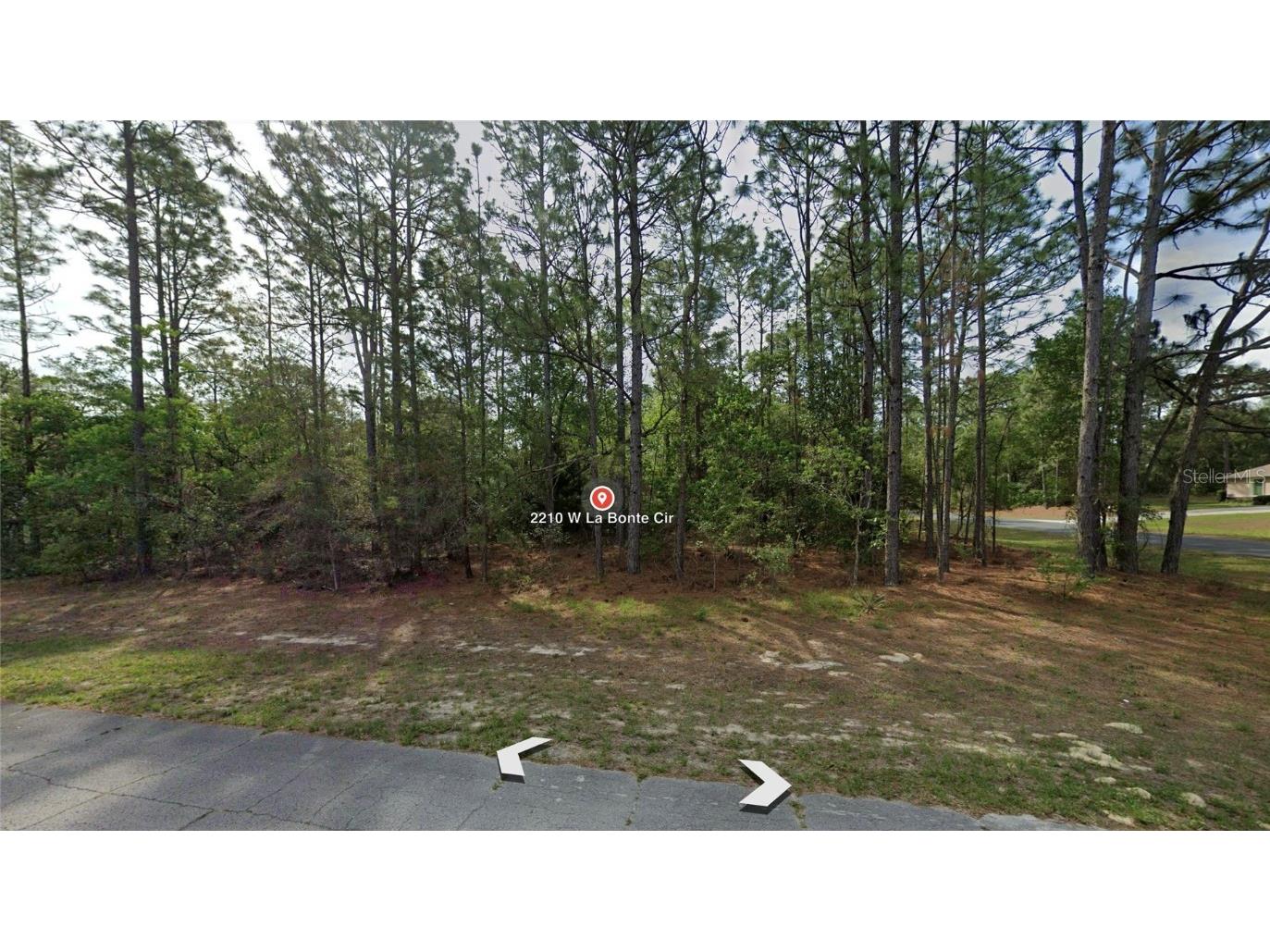 2210 W La Bonte Circle Beverly Hills FL 34465 S5096350 image1