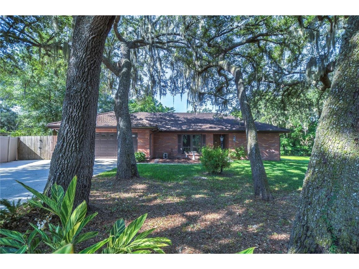 2210 Wildwood Hollow Drive Valrico FL 33596 T3529545 image1
