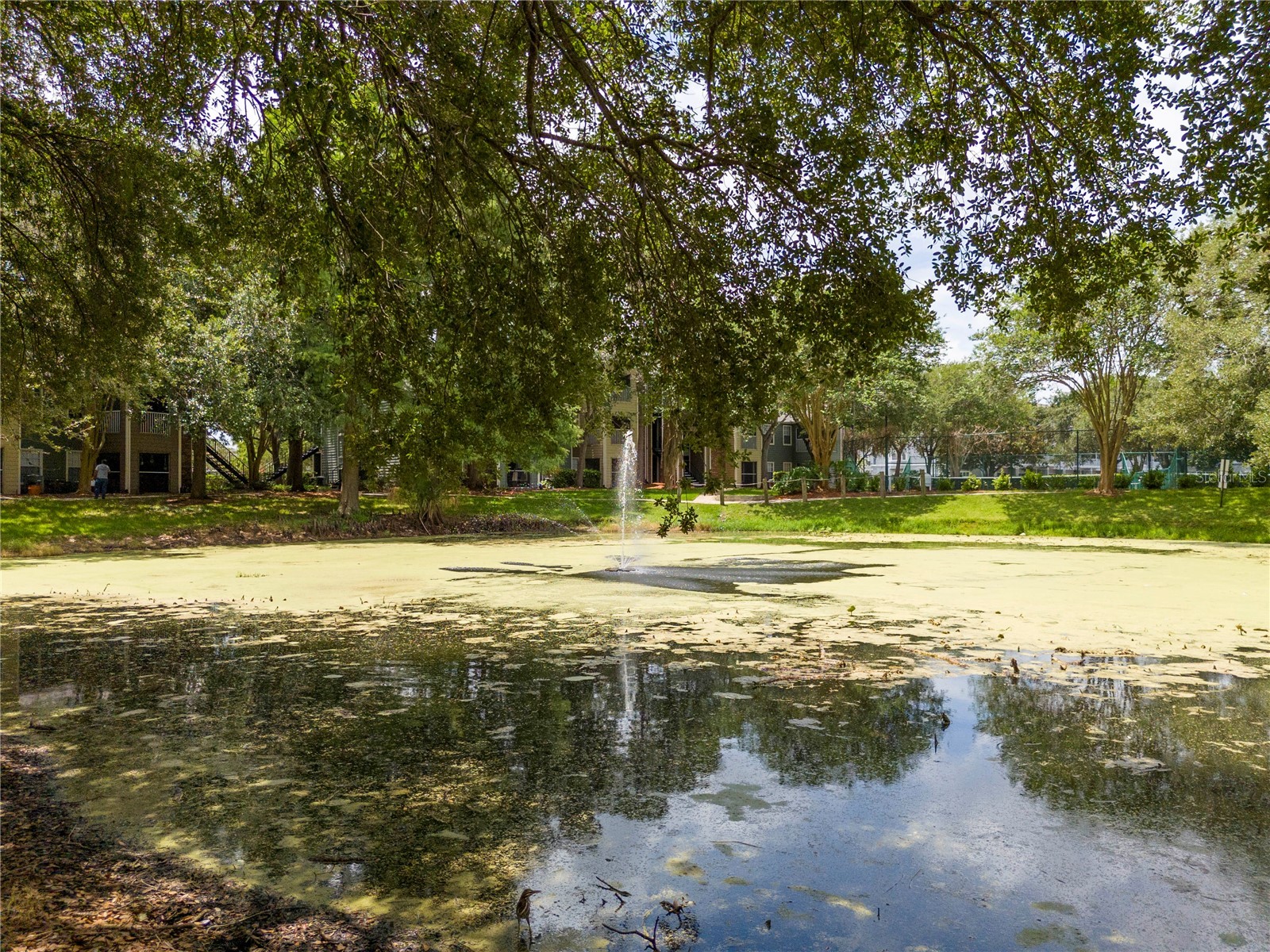 2210 Yankee Place #316 Orlando FL 32839 O6417946 image42